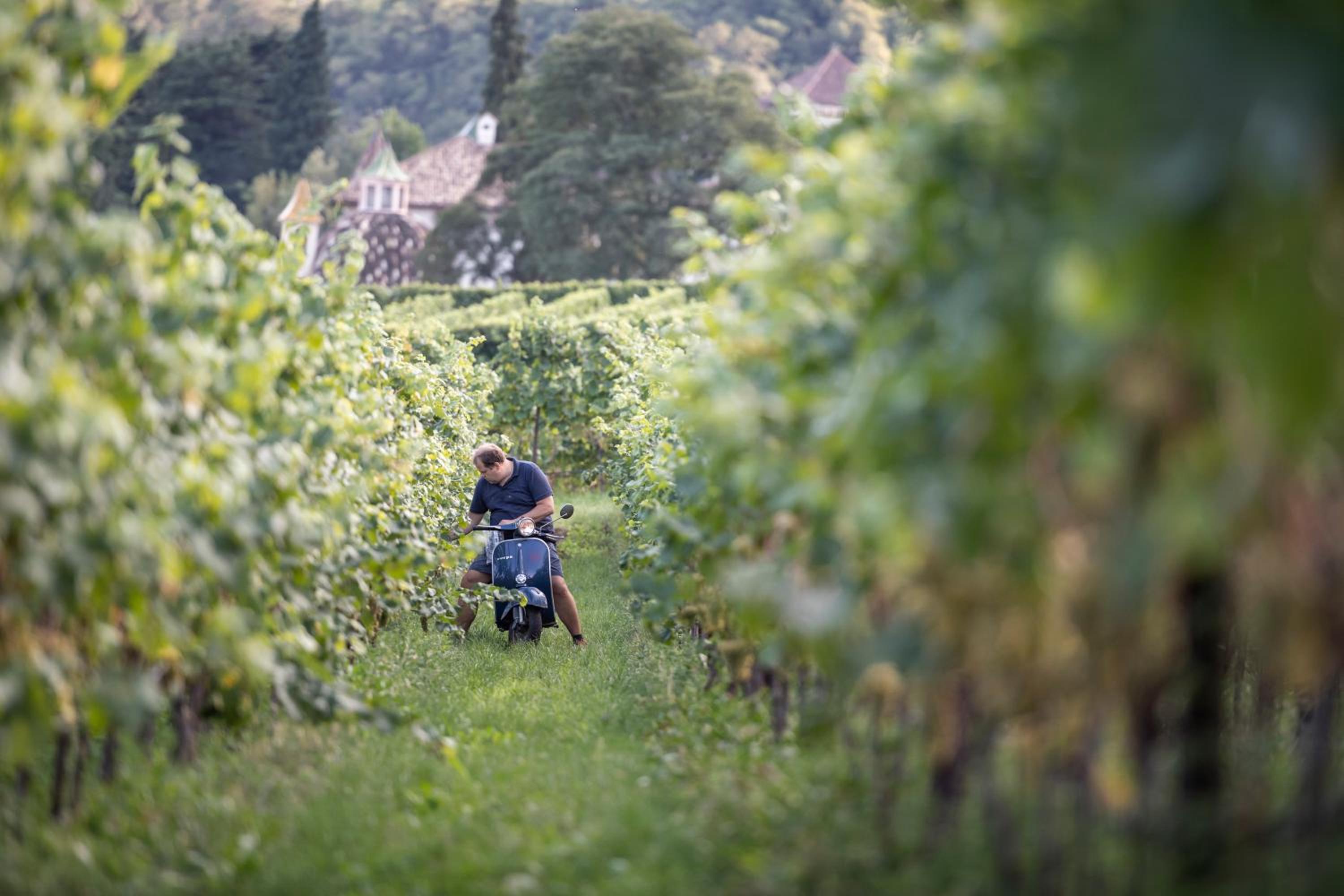 Weingut Klaus Lentsch