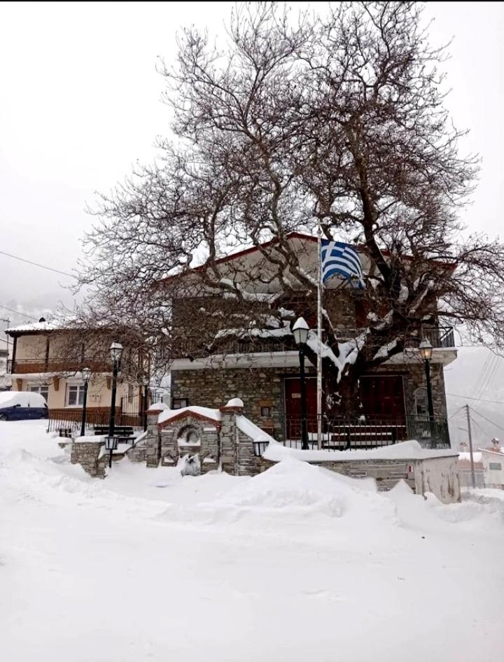 Photo 13