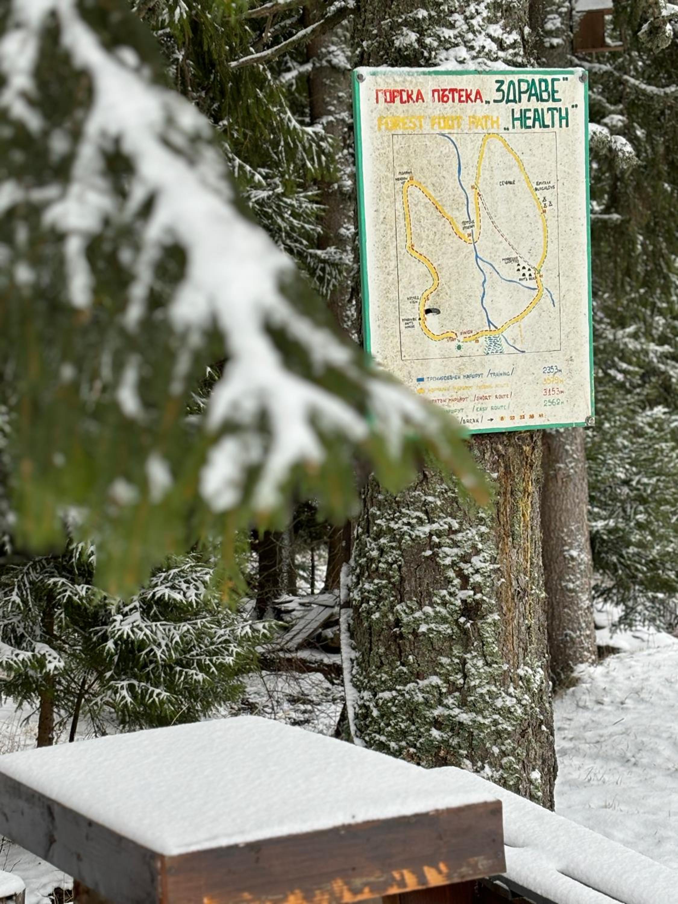 Forest Edge Cottage Pamporovo