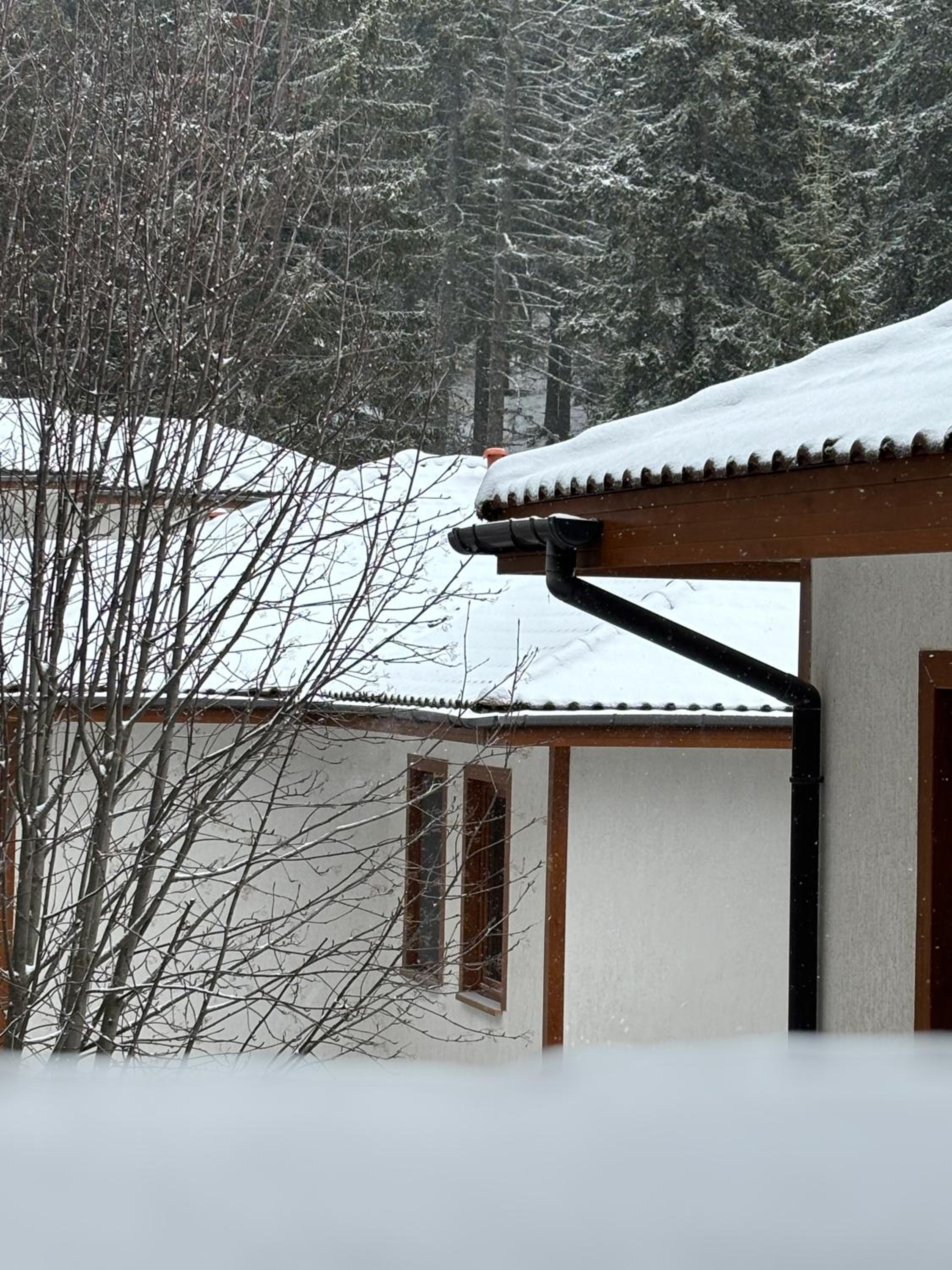 Forest Edge Cottage Pamporovo