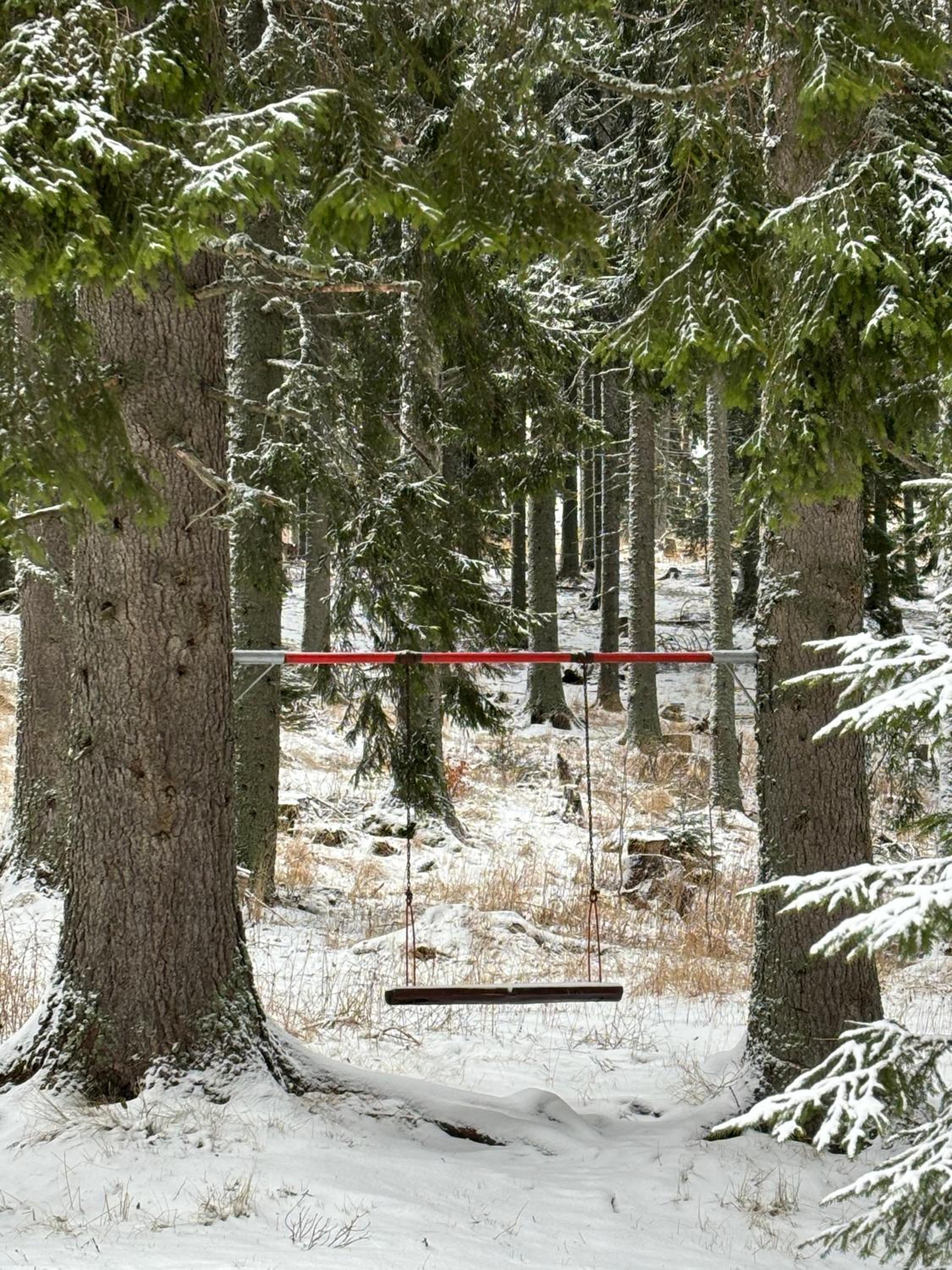 Forest Edge Cottage Pamporovo