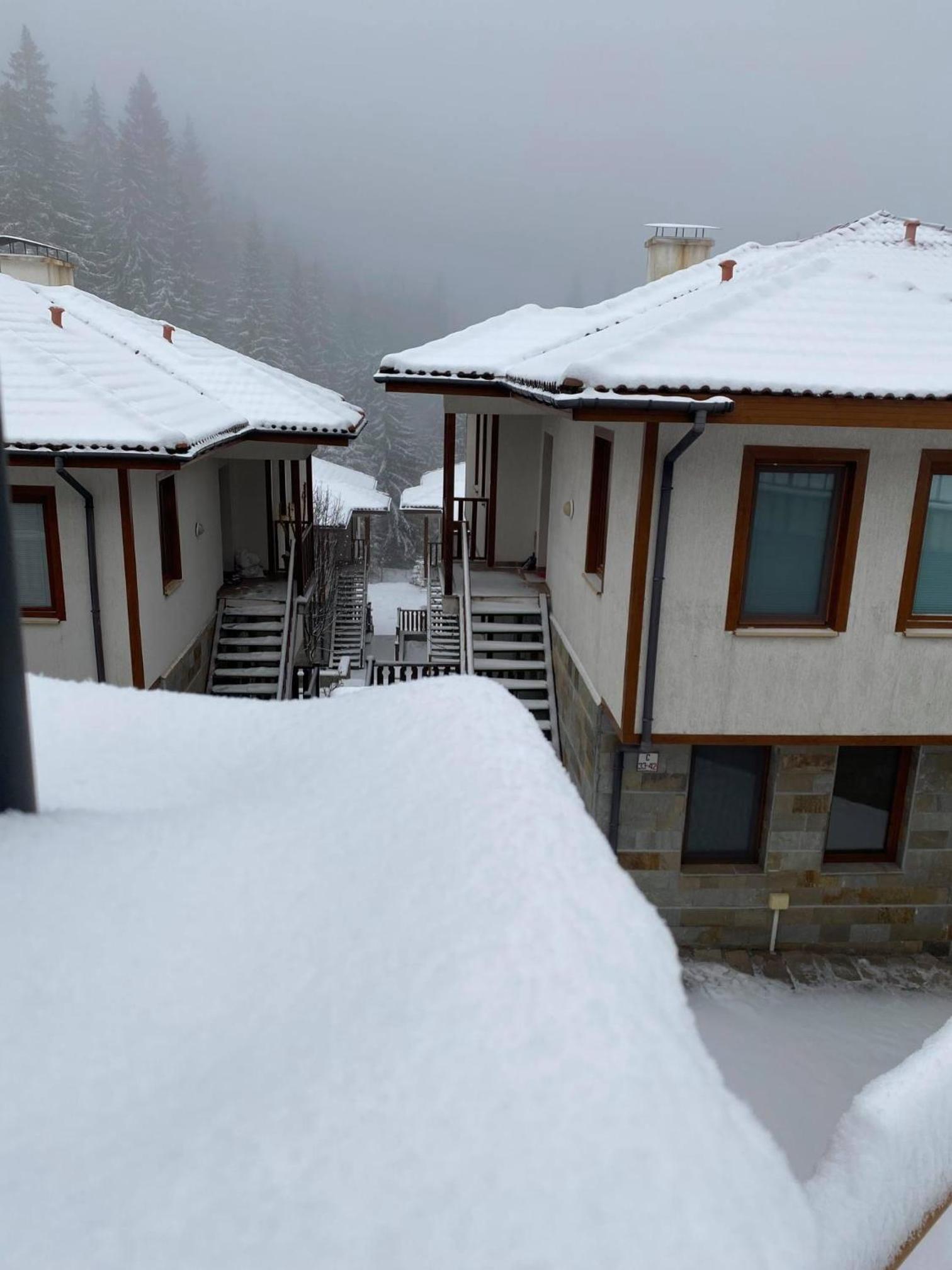 Forest Edge Cottage Pamporovo