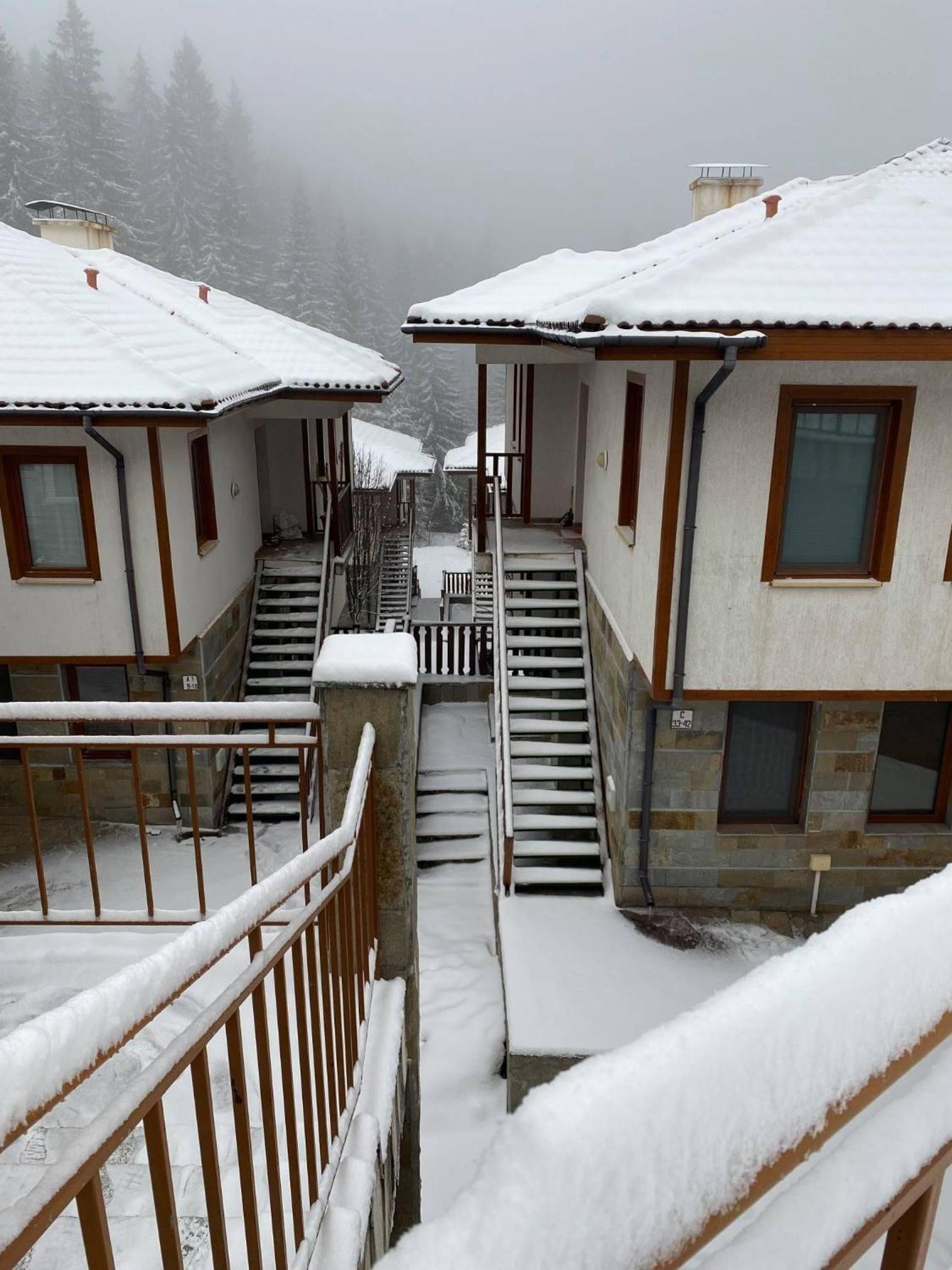 Forest Edge Cottage Pamporovo