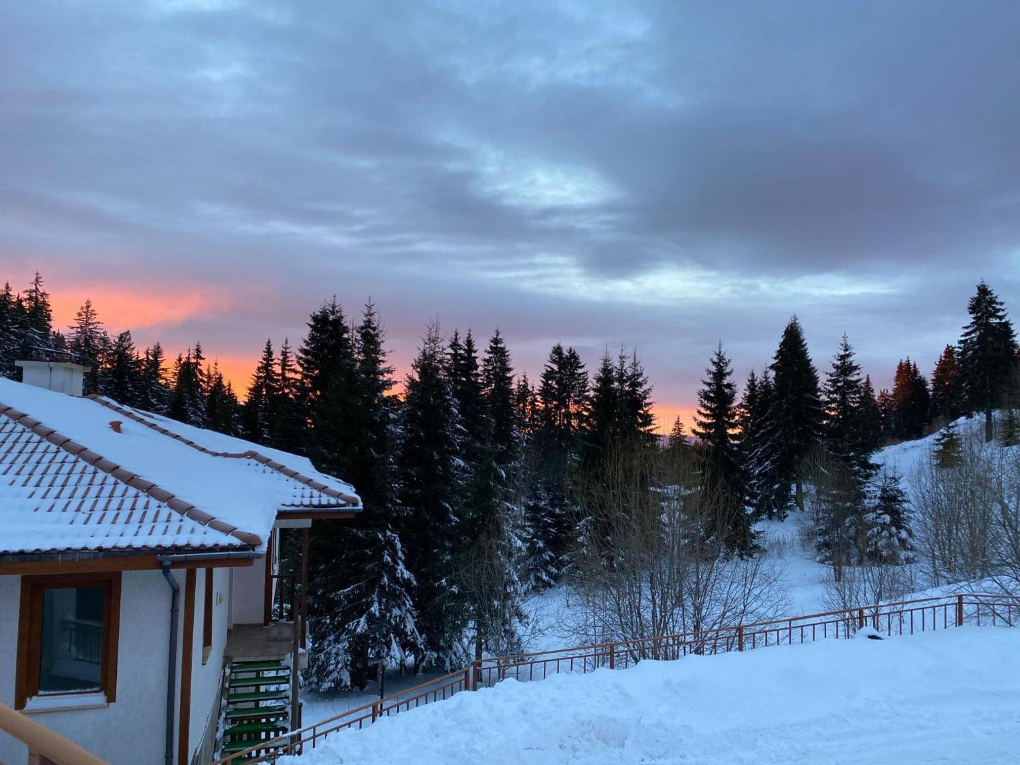 Forest Edge Cottage Pamporovo