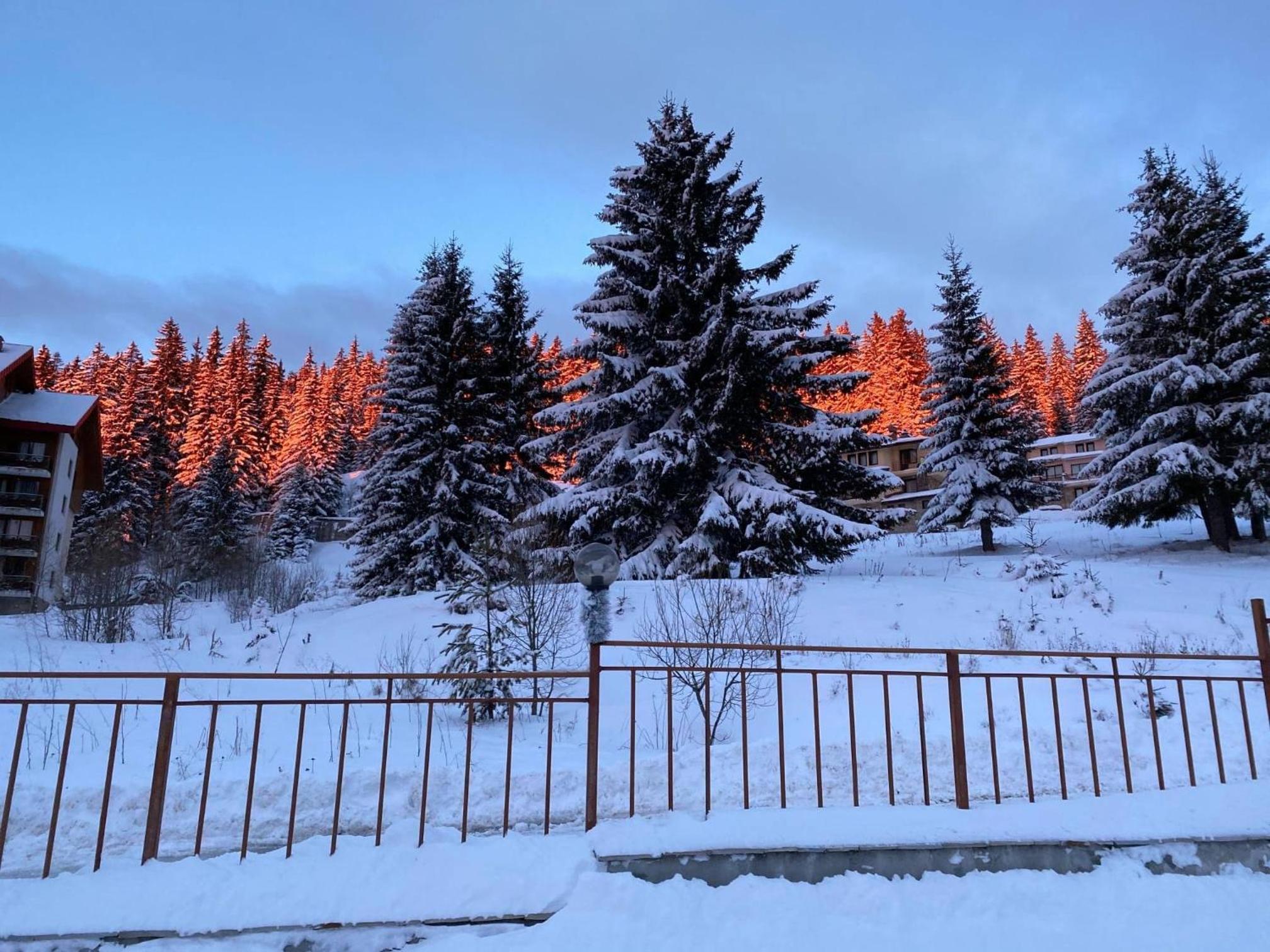 Forest Edge Cottage Pamporovo