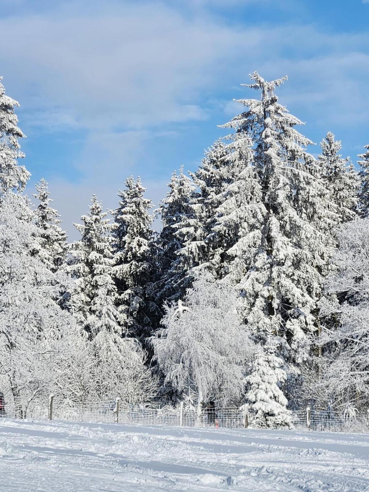 Haus Nina near Willingen and Winterberg