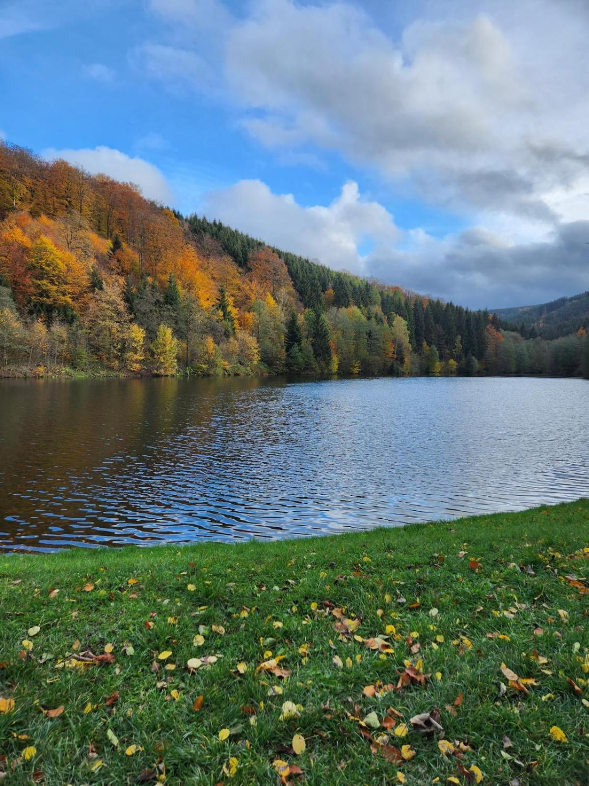 Haus Nina near Willingen and Winterberg