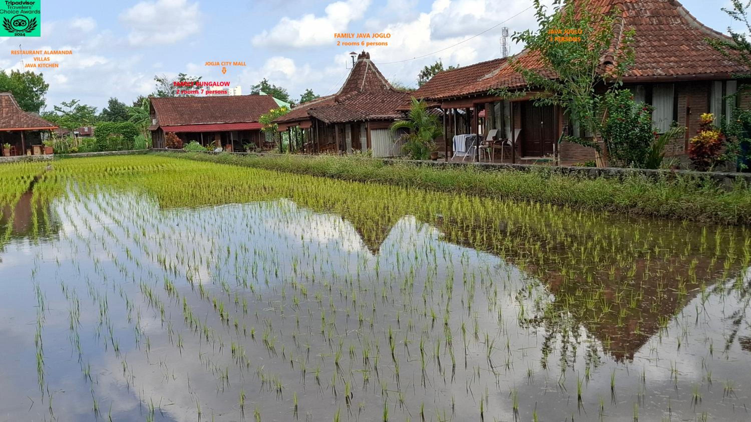 Alamanda Villas, Family Villas, Pool & Local Tours view 2