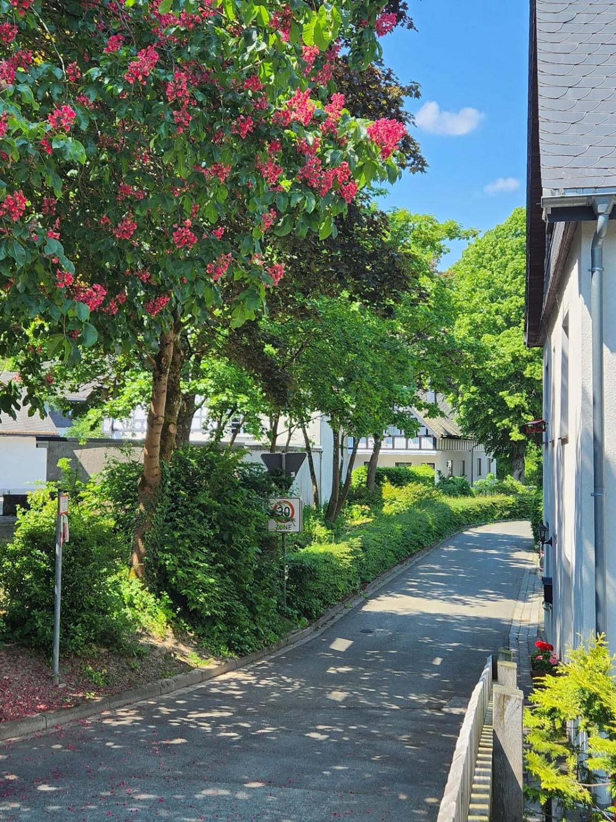 Haus Nina near Willingen and Winterberg
