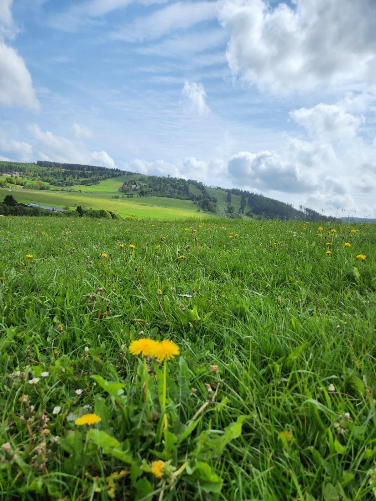 Haus Nina near Willingen and Winterberg