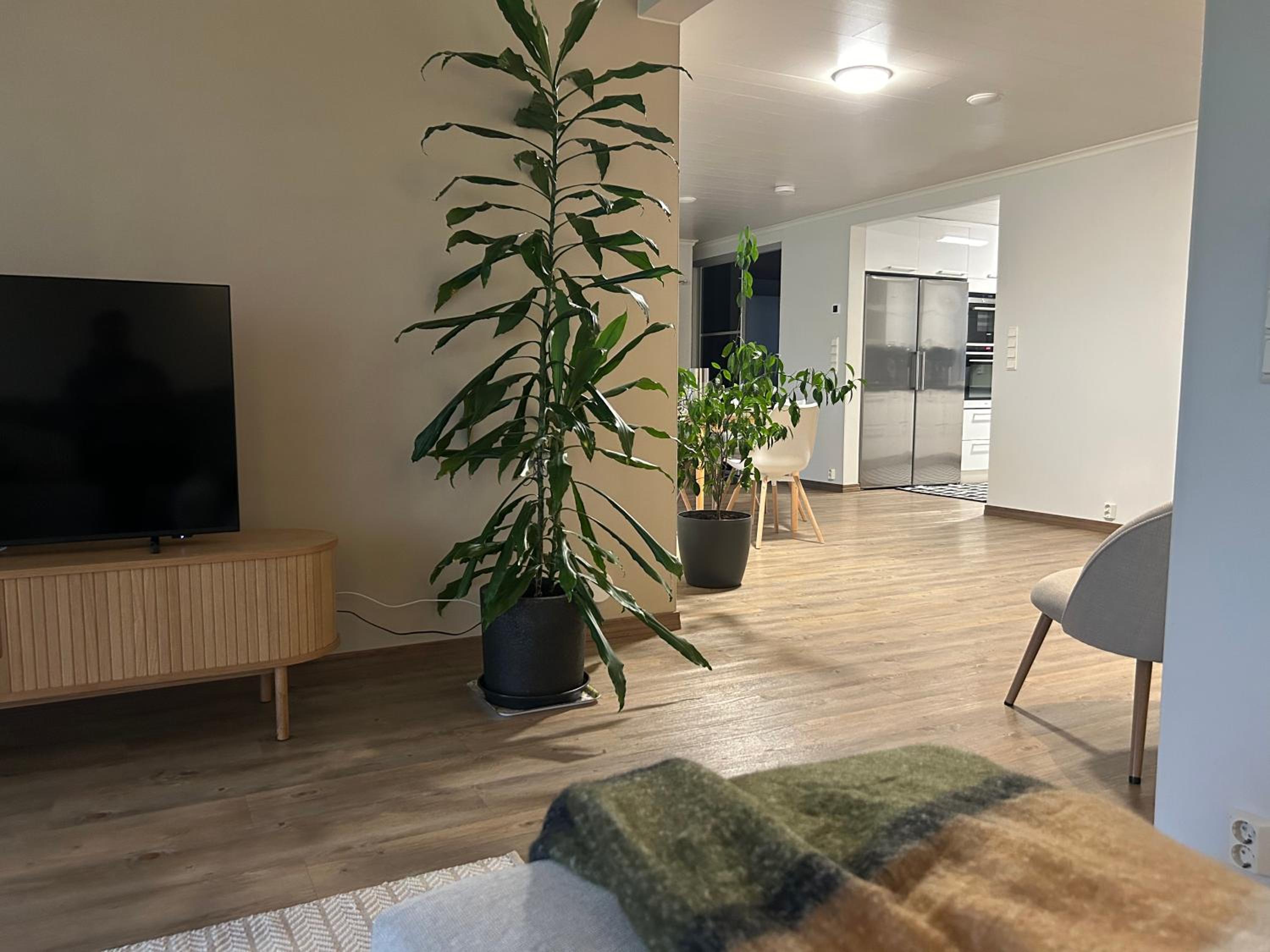 Kaamos City House