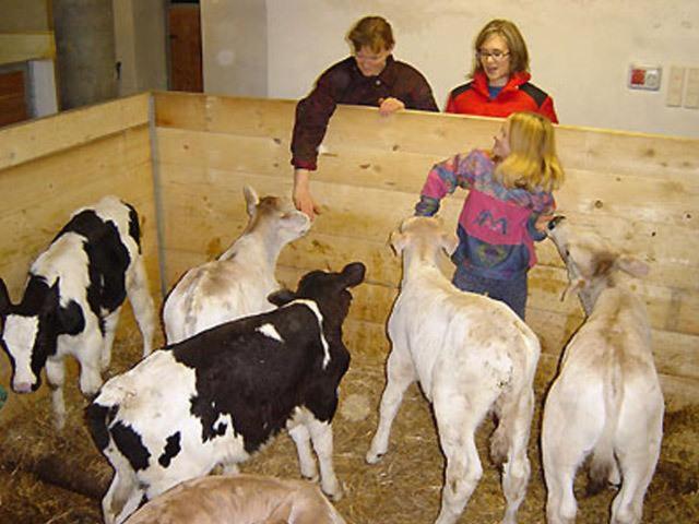 Kastnerhof