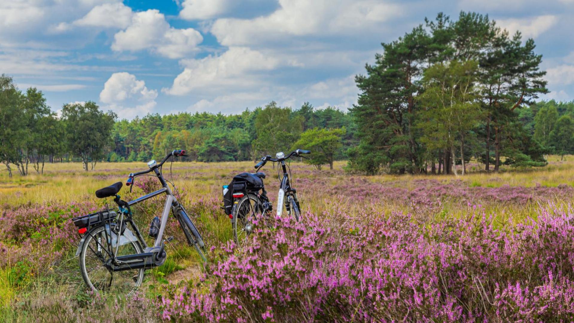 B&B Catharinenburg Golf & Wellness