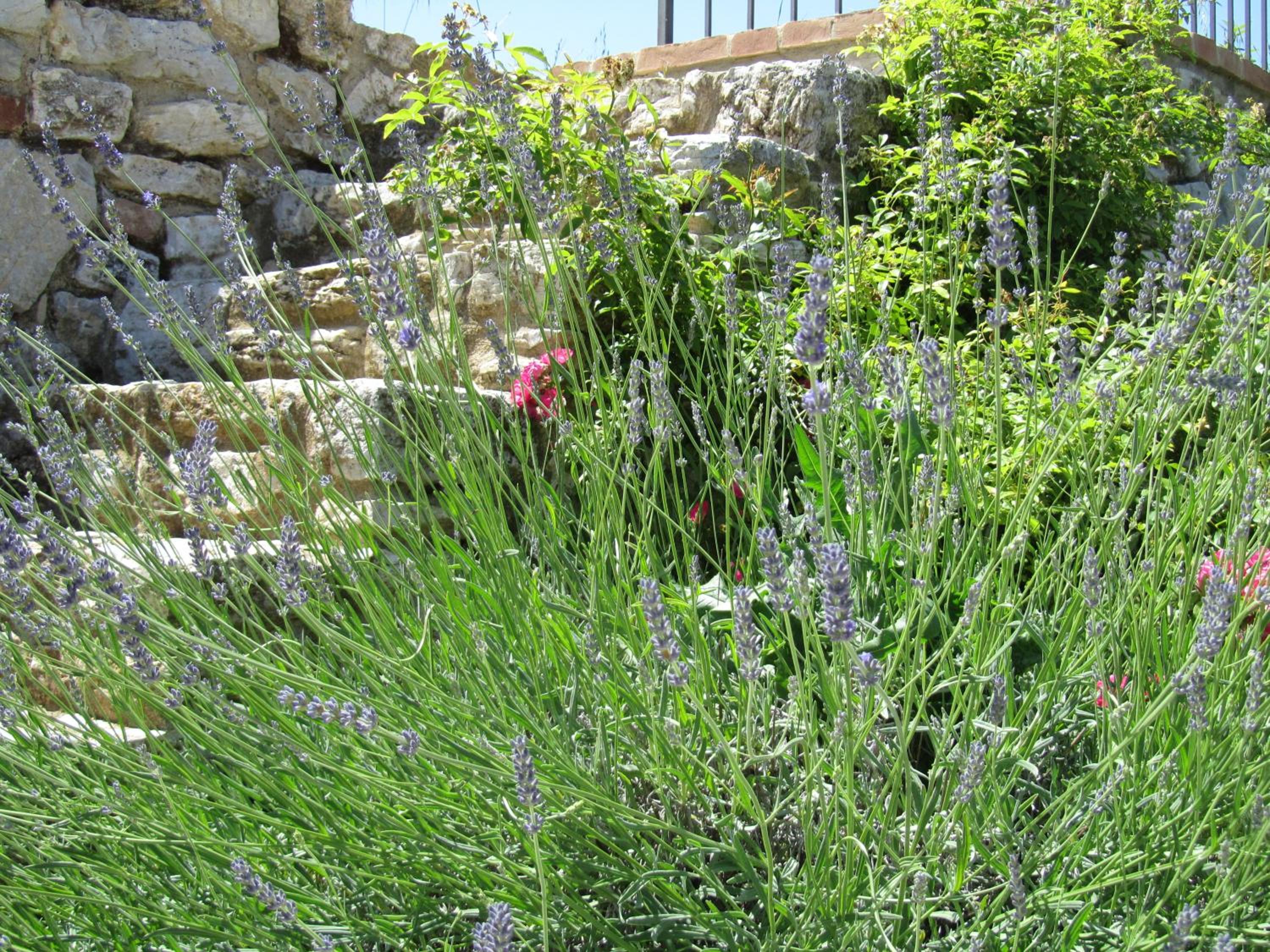 Agriturismo Borghetto Il Montino