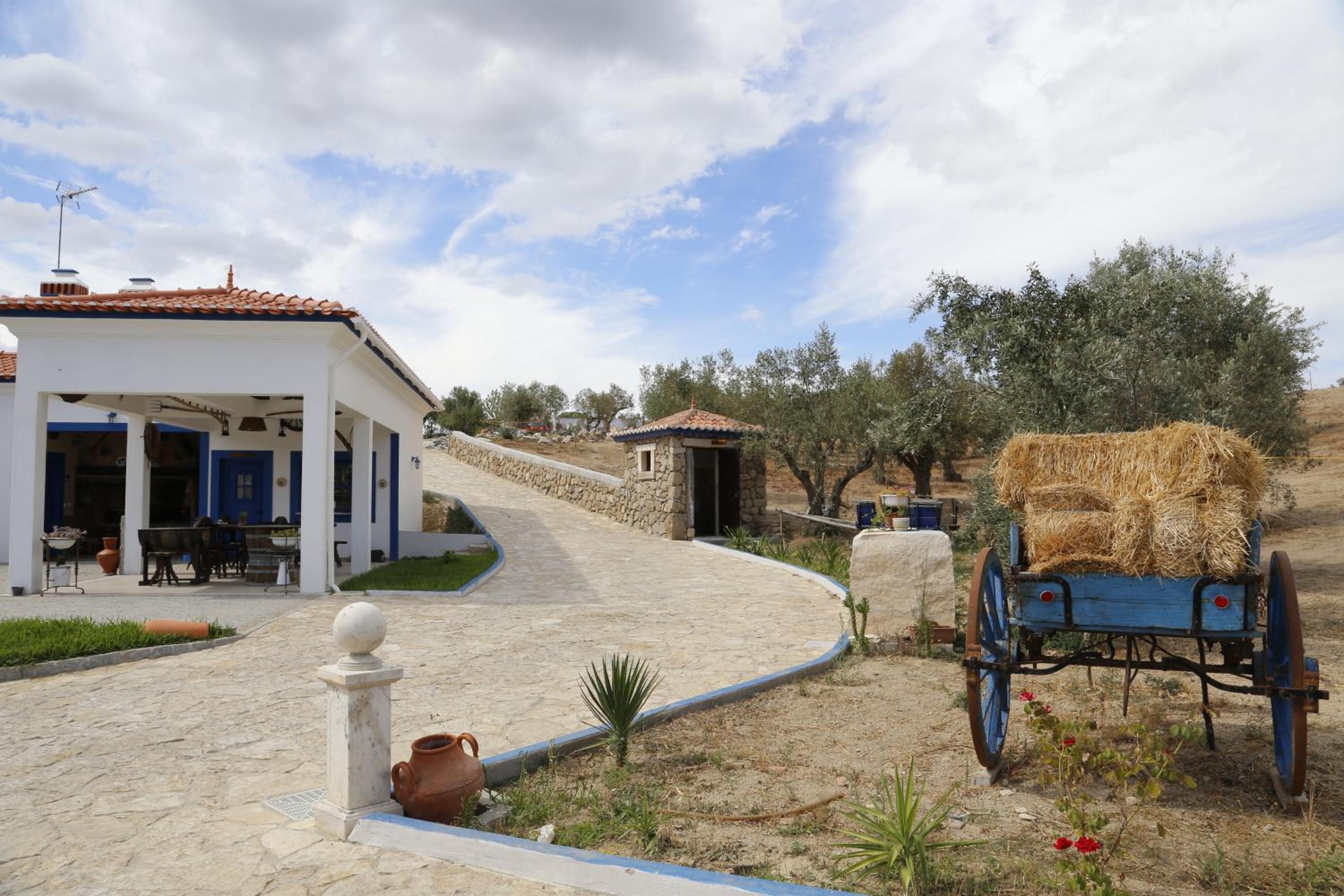 Photo 55