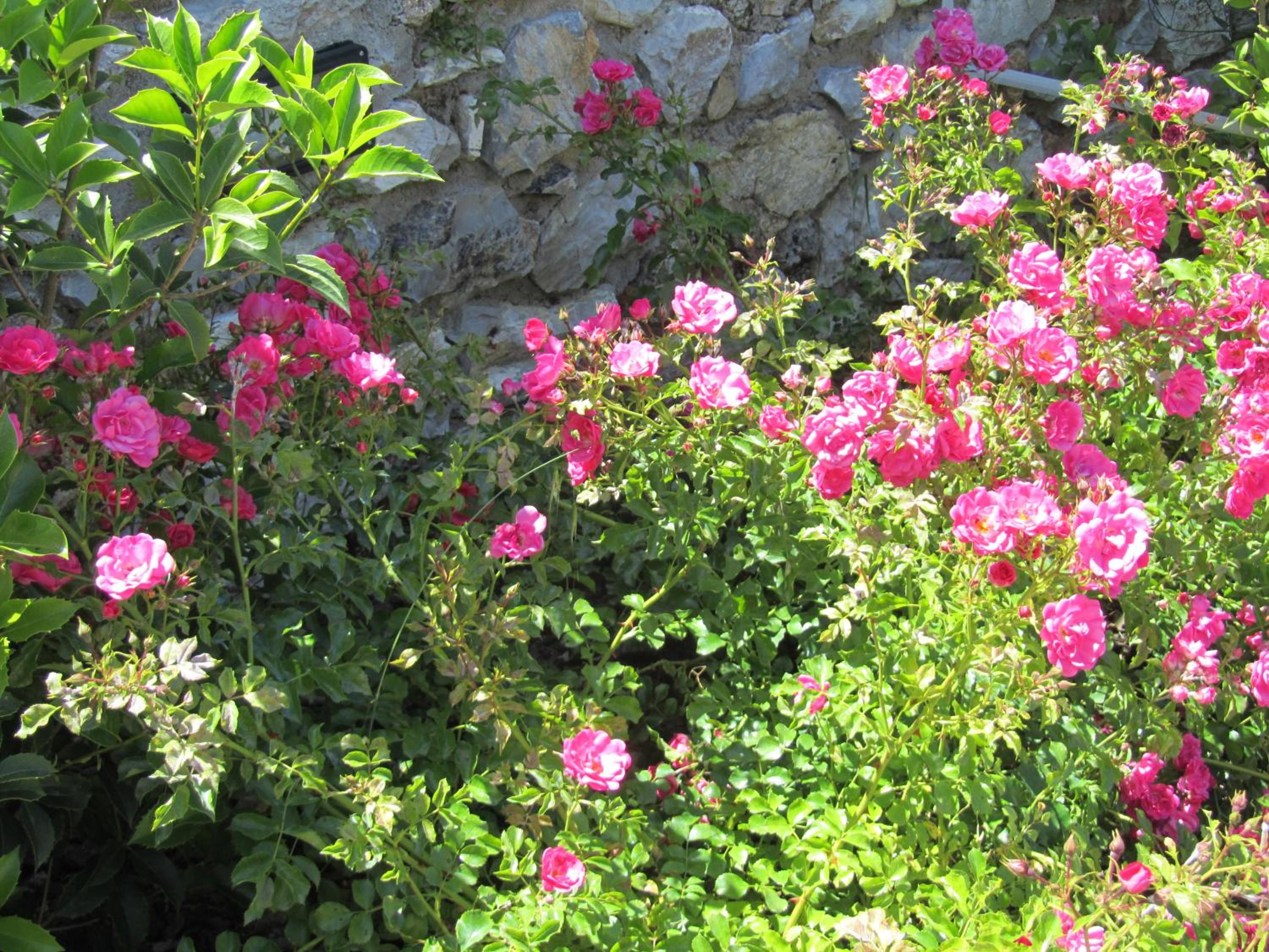 Agriturismo Borghetto Il Montino