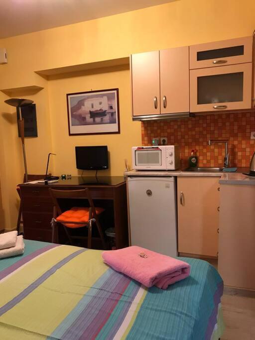 Cozy ground floor studio near metro!