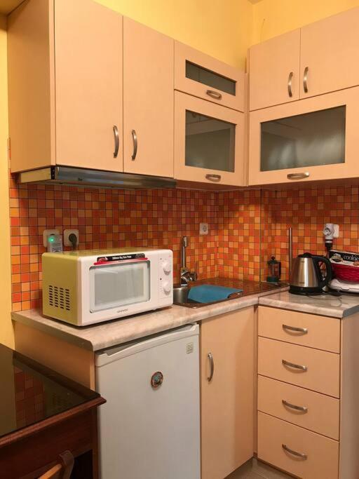 Cozy ground floor studio near metro!