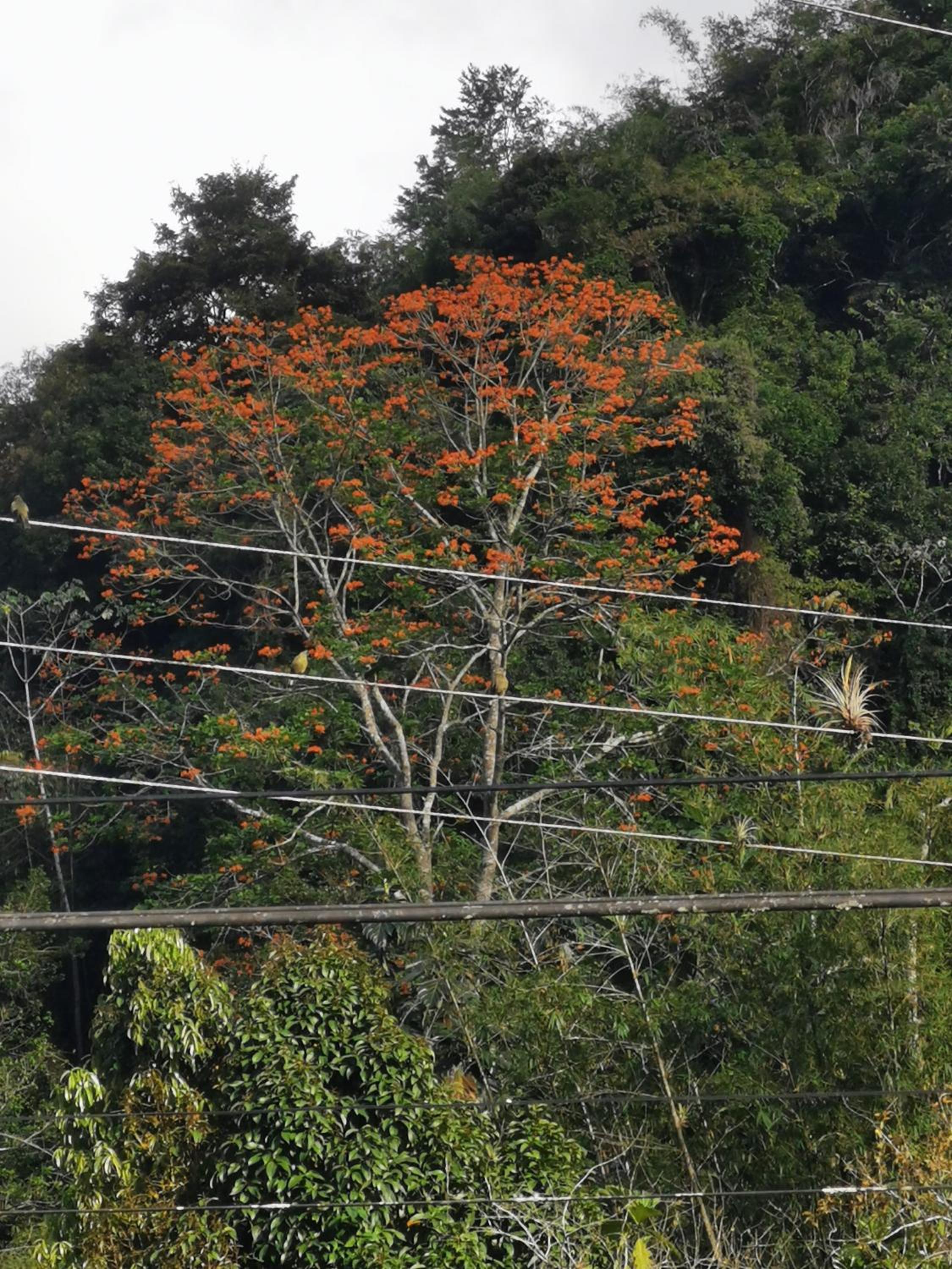 Karibik Ocean view Guesthouse Trinidad