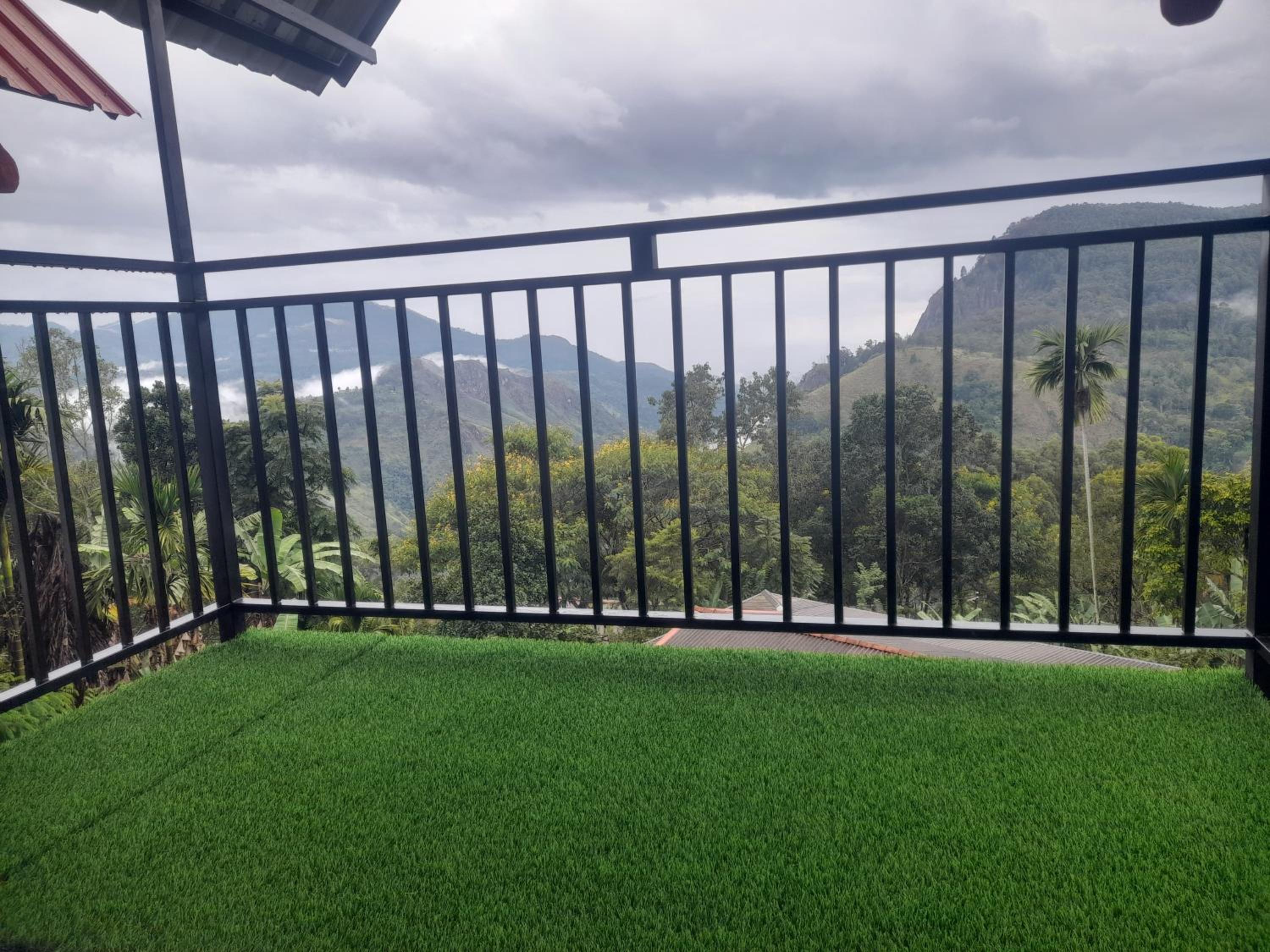 Golden View Guest Ella view 3