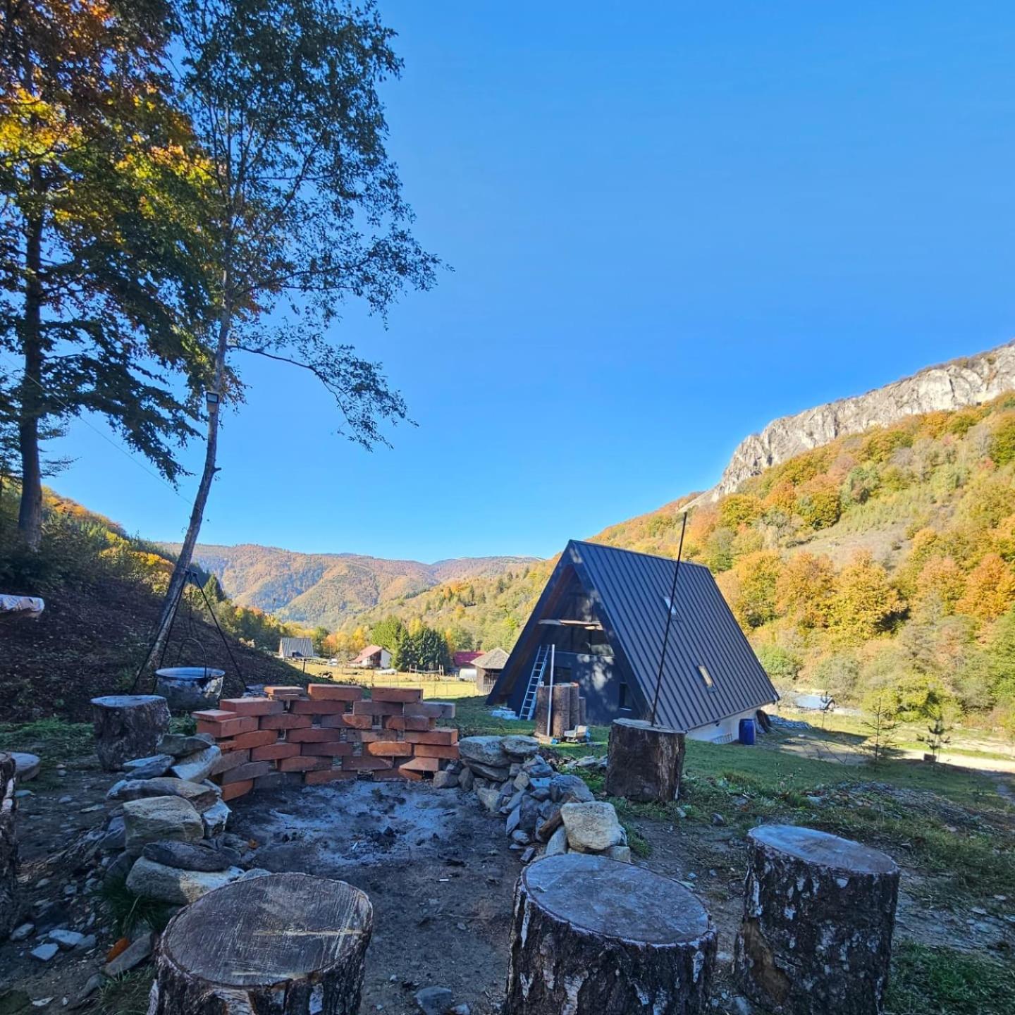 Charpatian Log Cabin Dragoslavele view 5