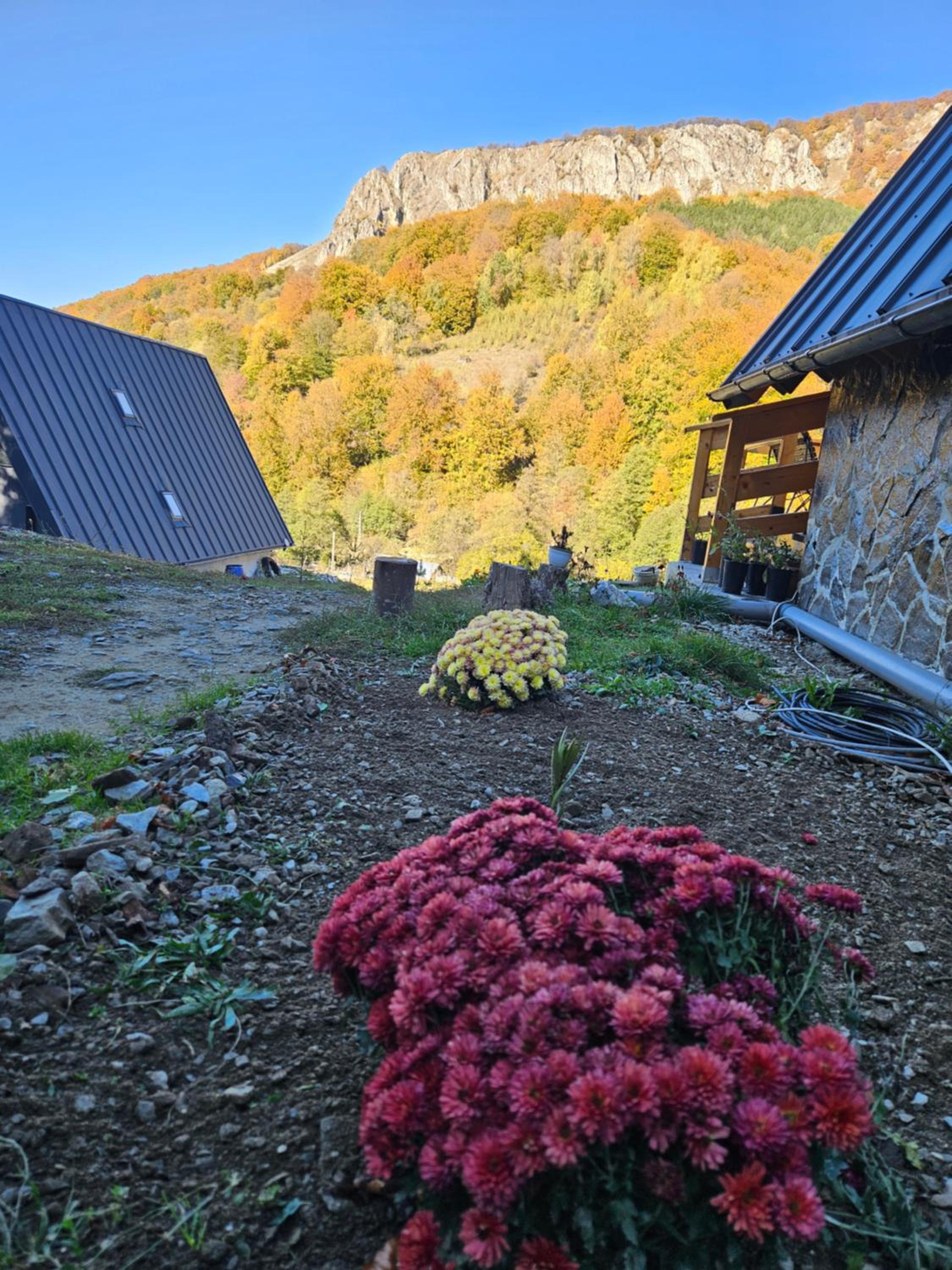 Charpatian Log Cabin Dragoslavele view 2