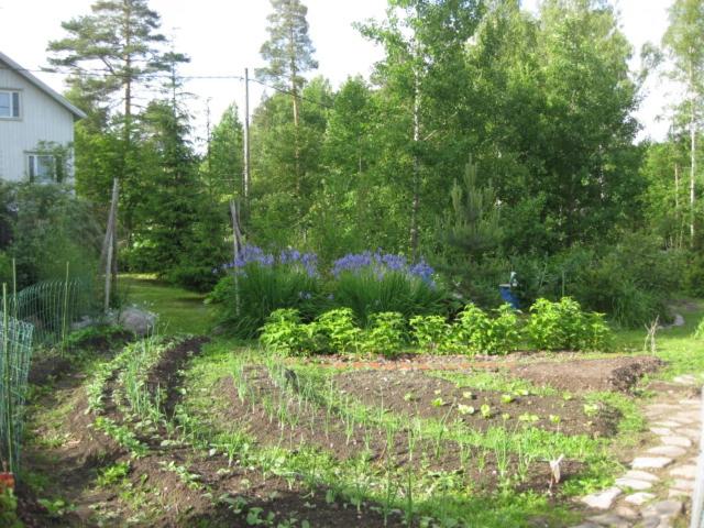Huoneistomajoitus Unelma Mäntyharju