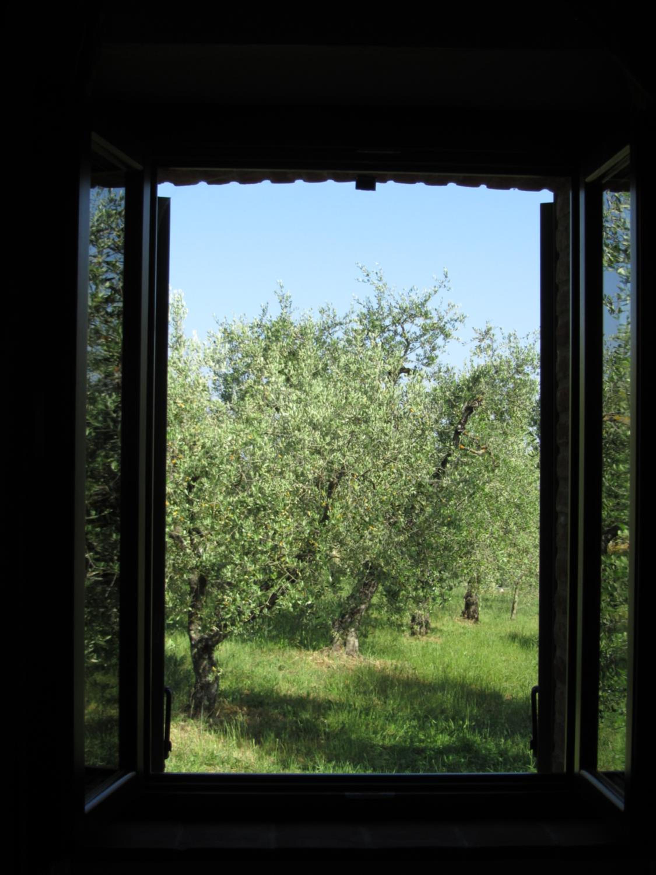 Agriturismo Borghetto Il Montino