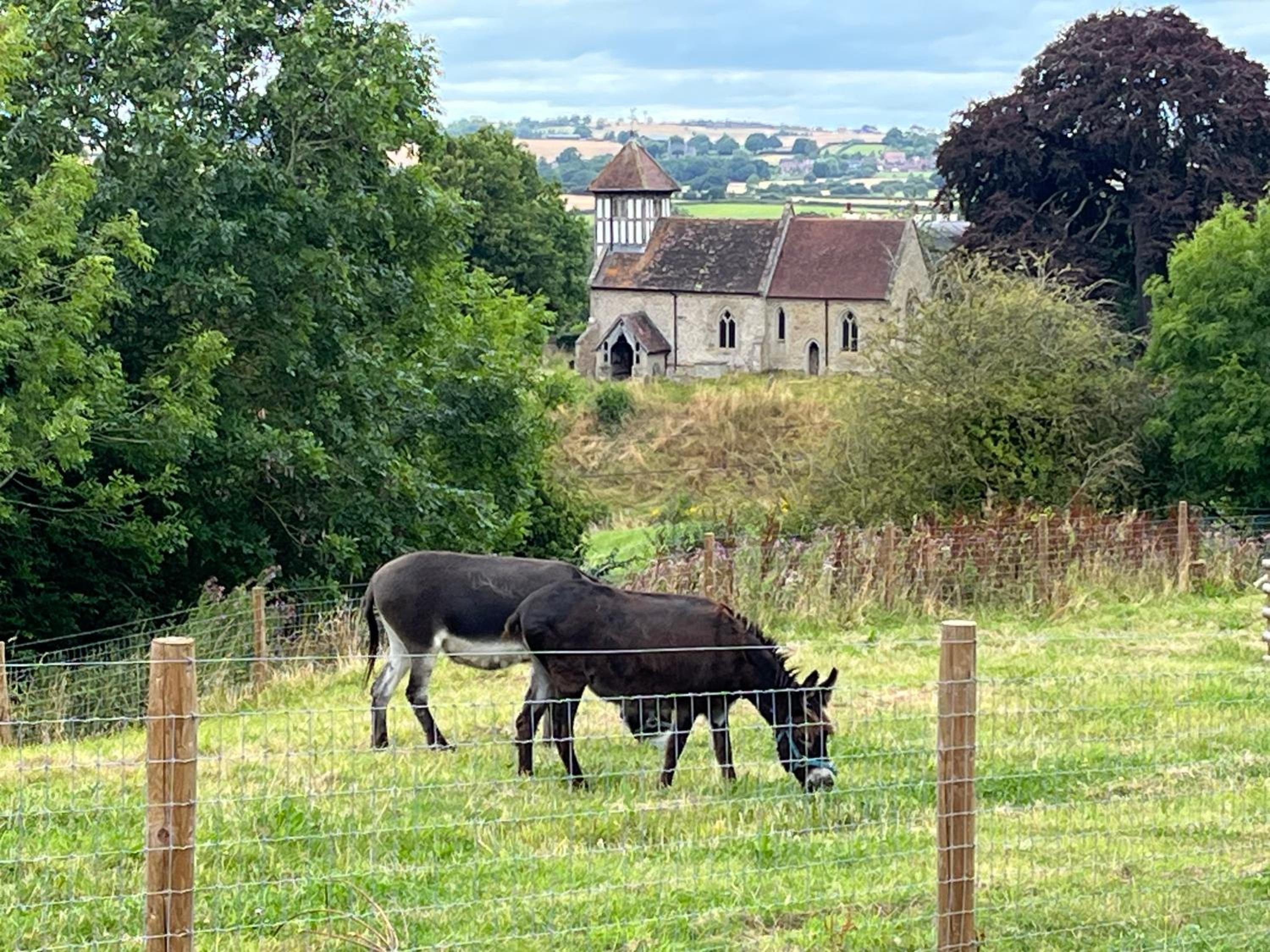Hedgehog Glamping Pod