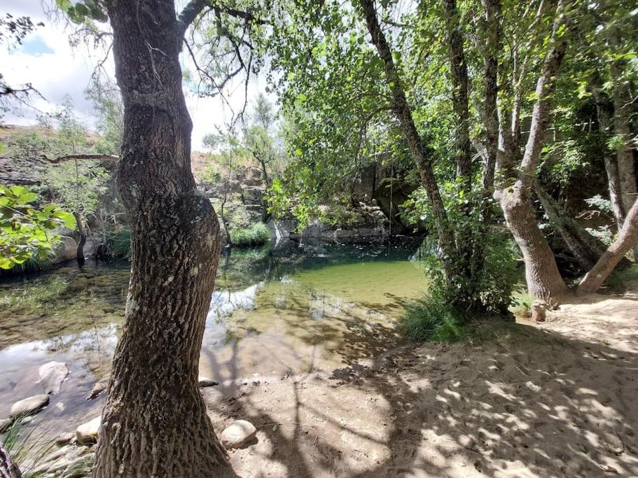Casa rural La Casaca en plena sierra de Gredos