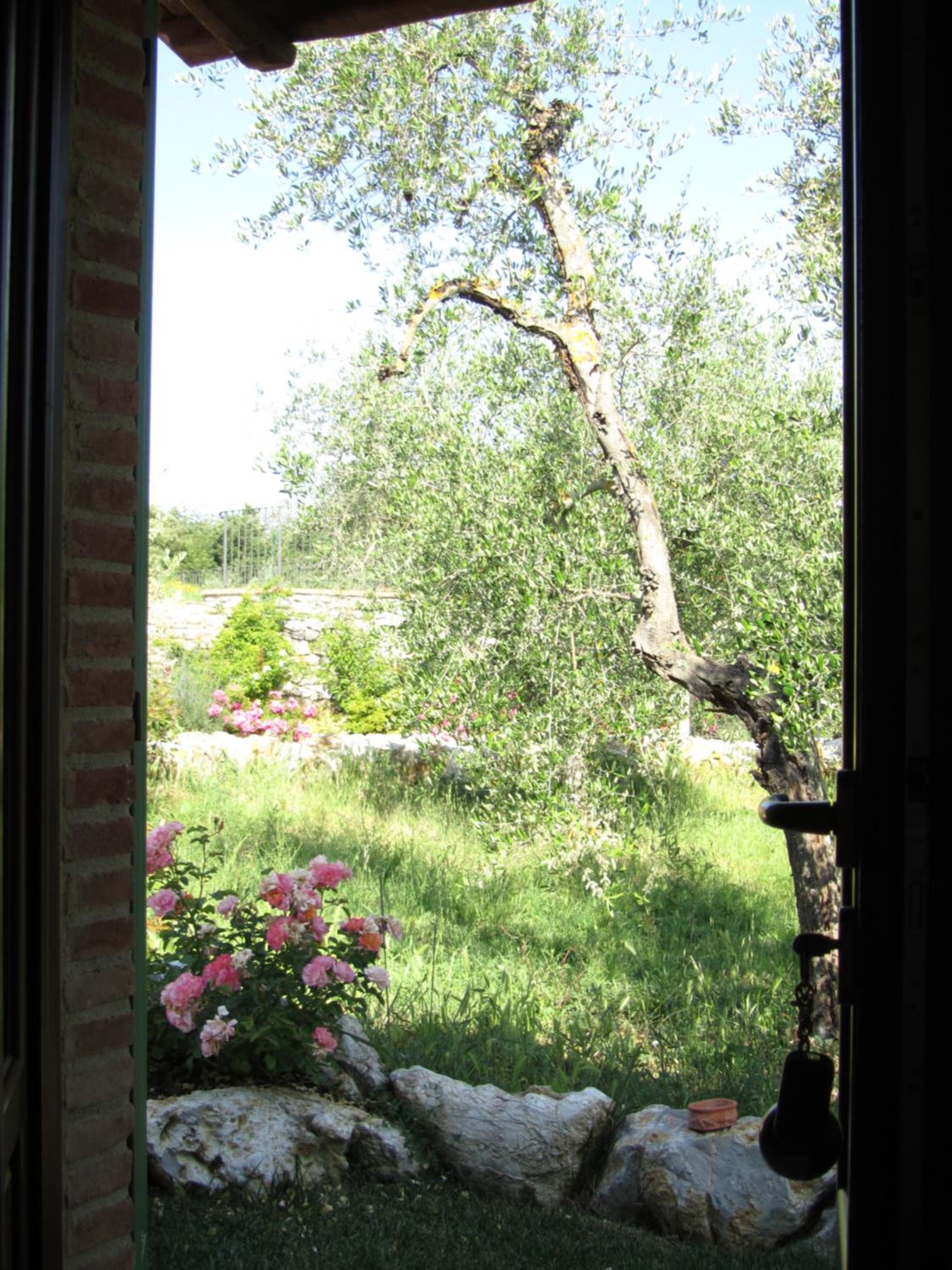 Agriturismo Borghetto Il Montino