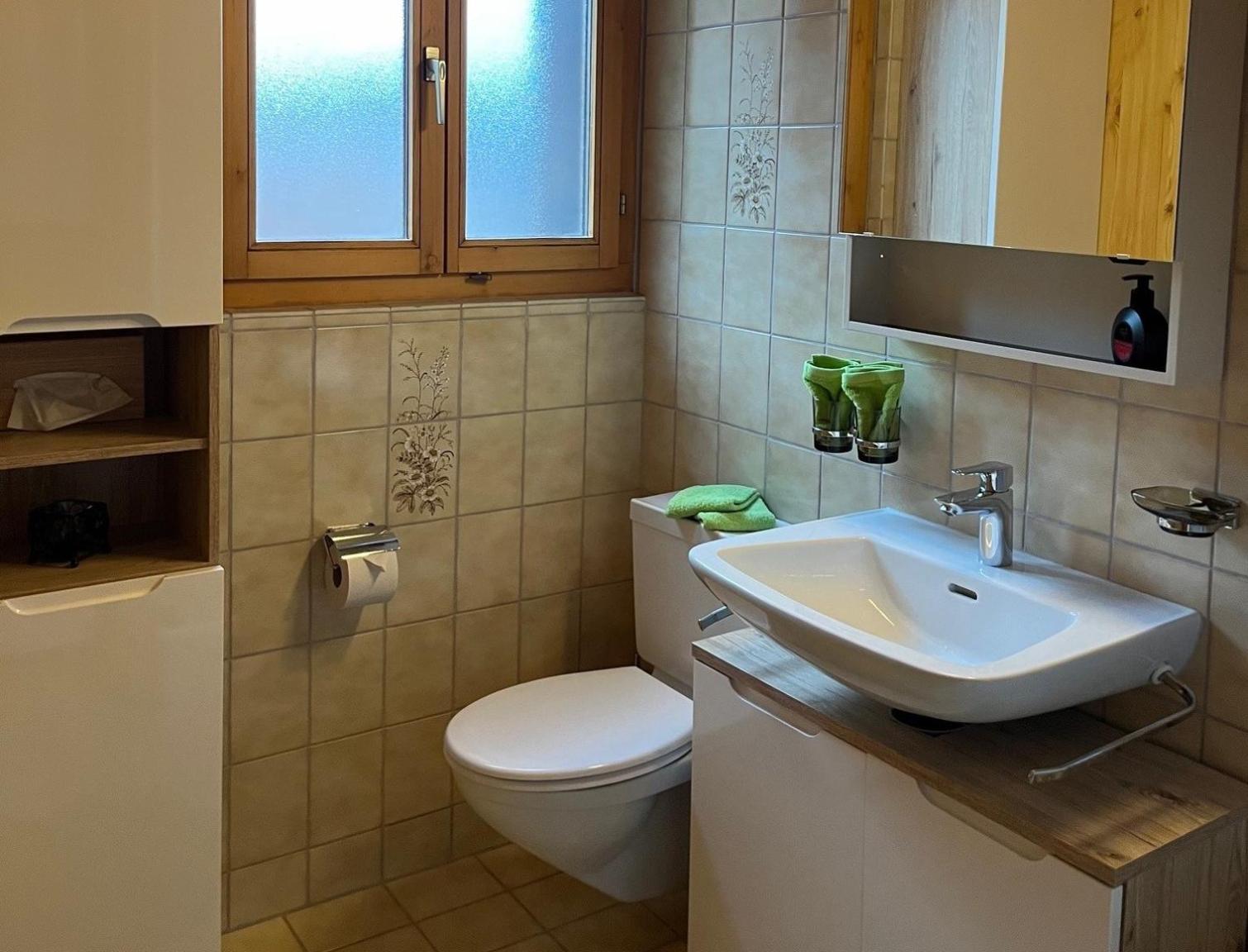 Casa Tresch Sedrun Tujetsch bis 5 Pers
