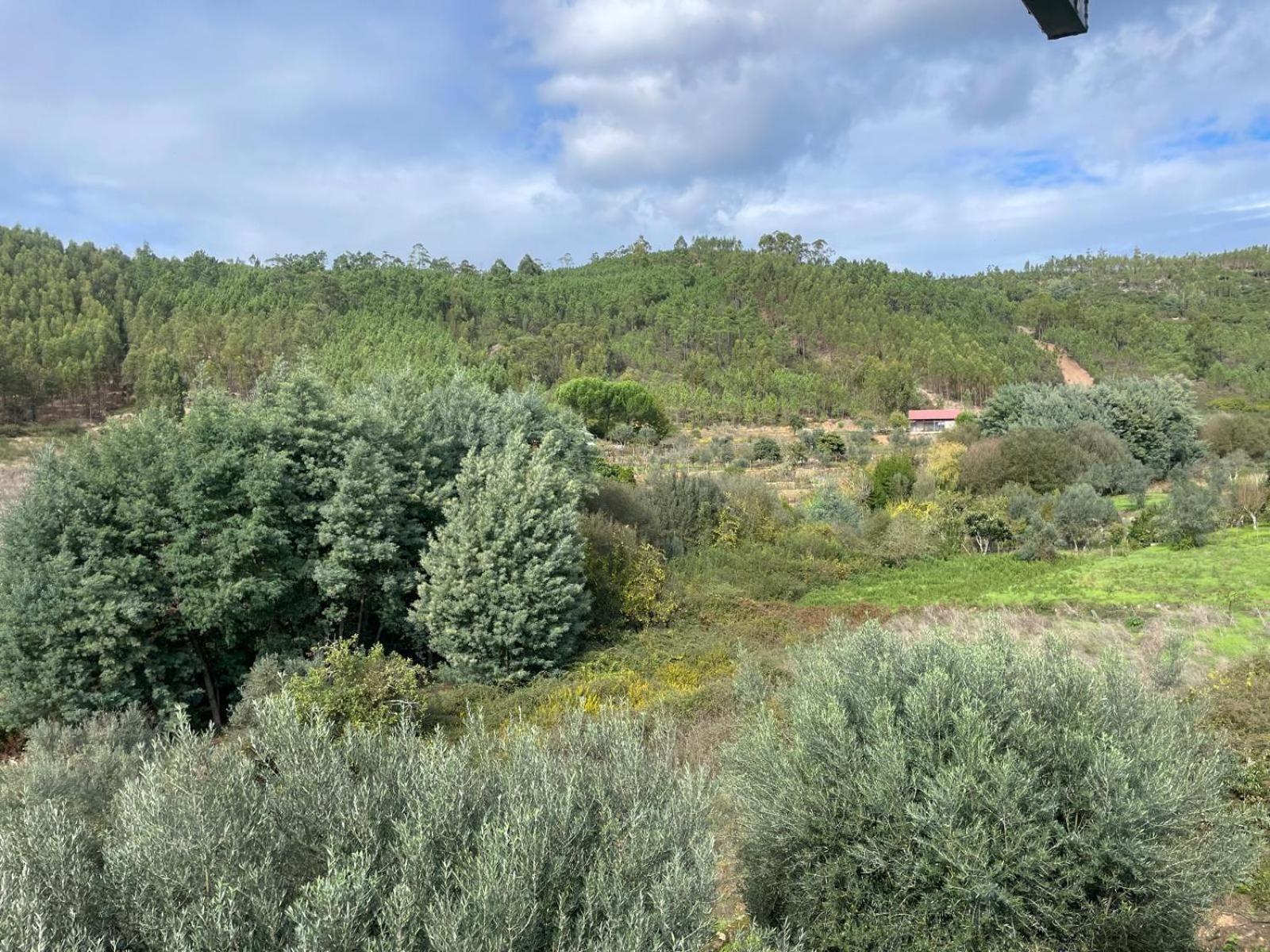 Alojamentos da Aldeia