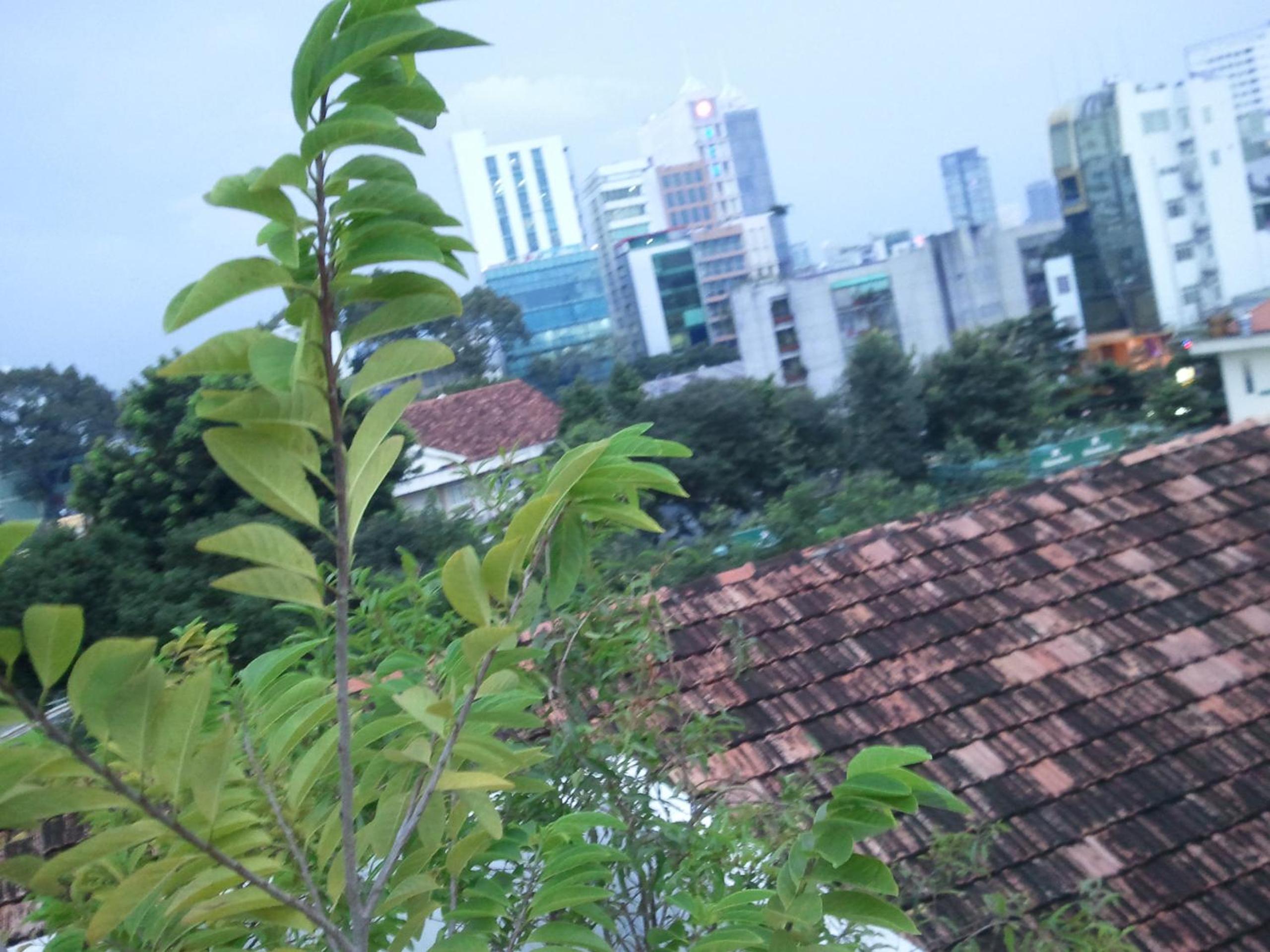 Huong's Homestay