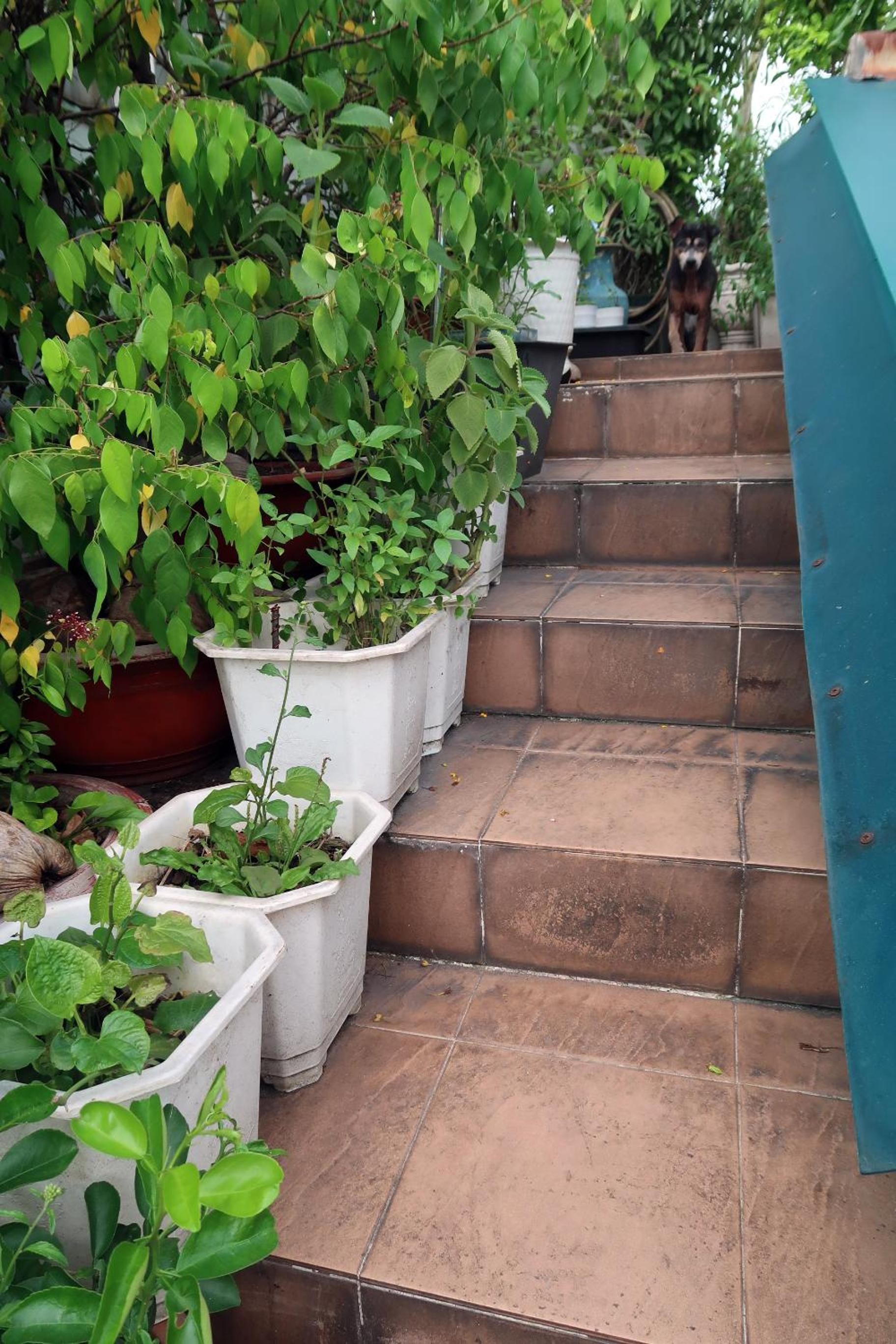 Huong's Homestay