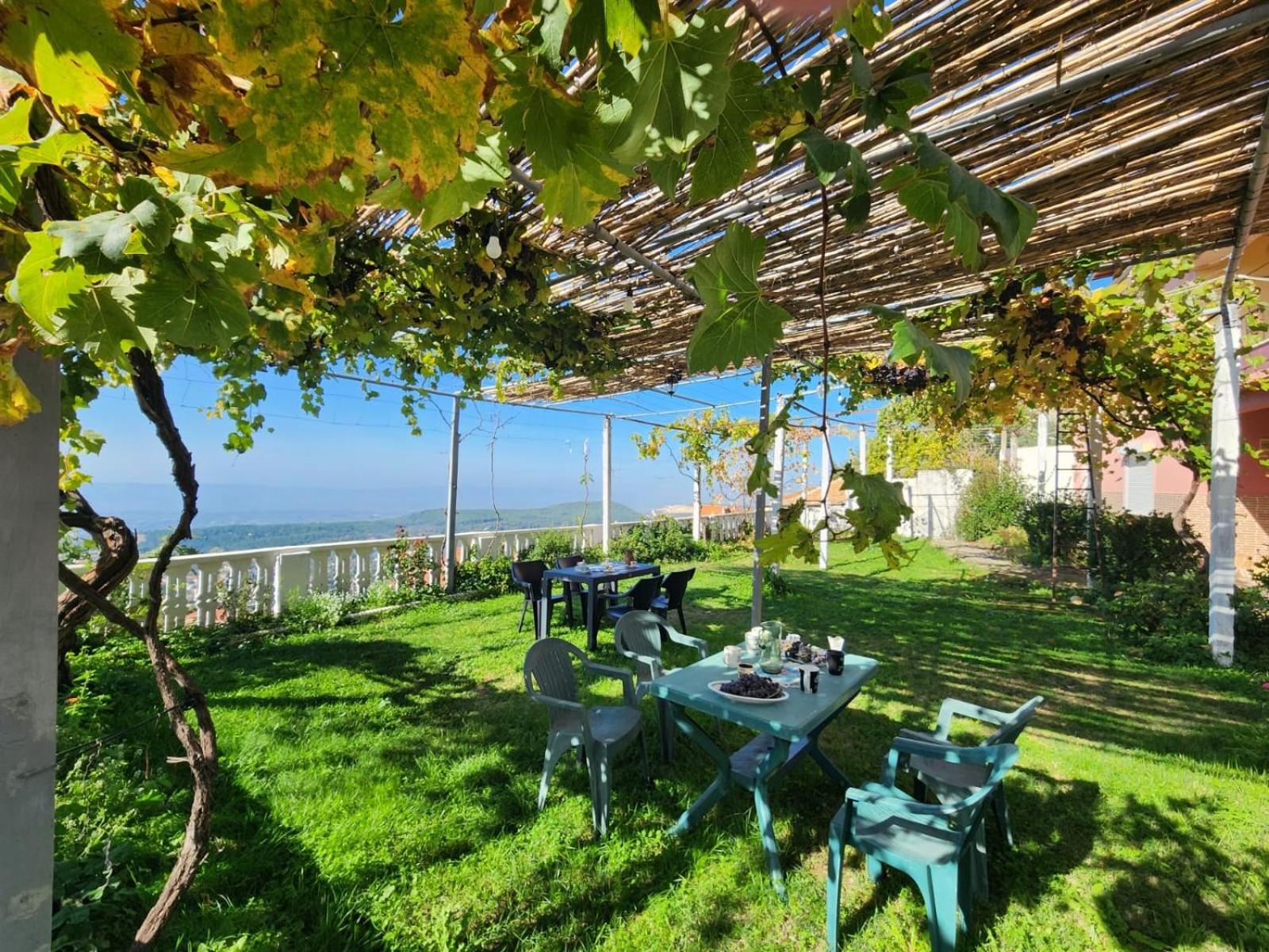 Garden Villa Guni photo 4