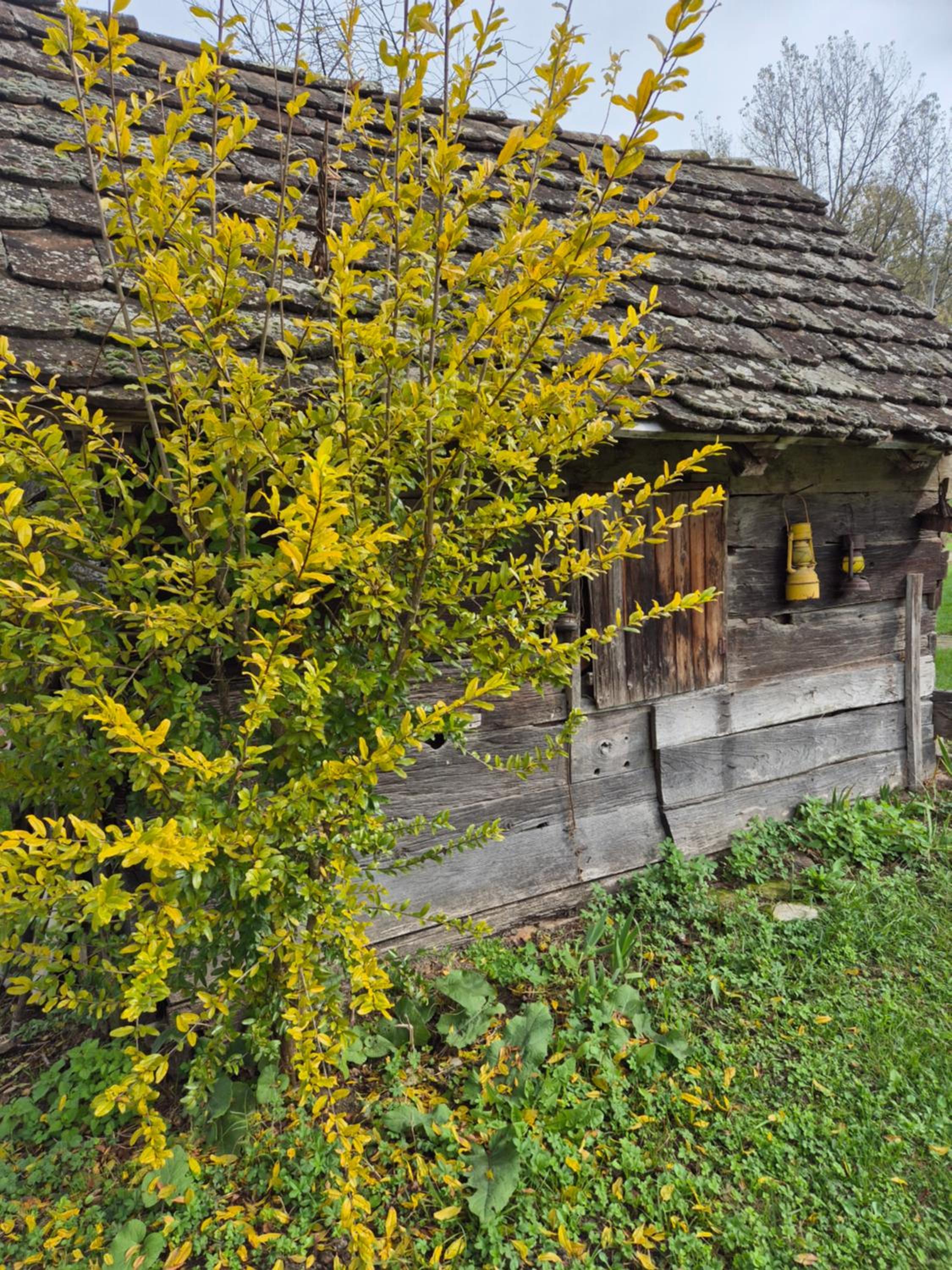 Pension Sava Turizam