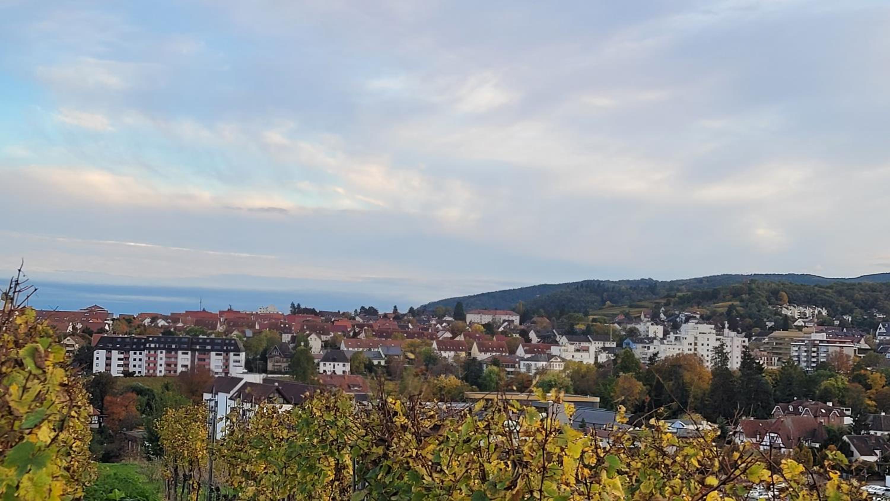 Ihr Bett mit Blick auf die Weinberge