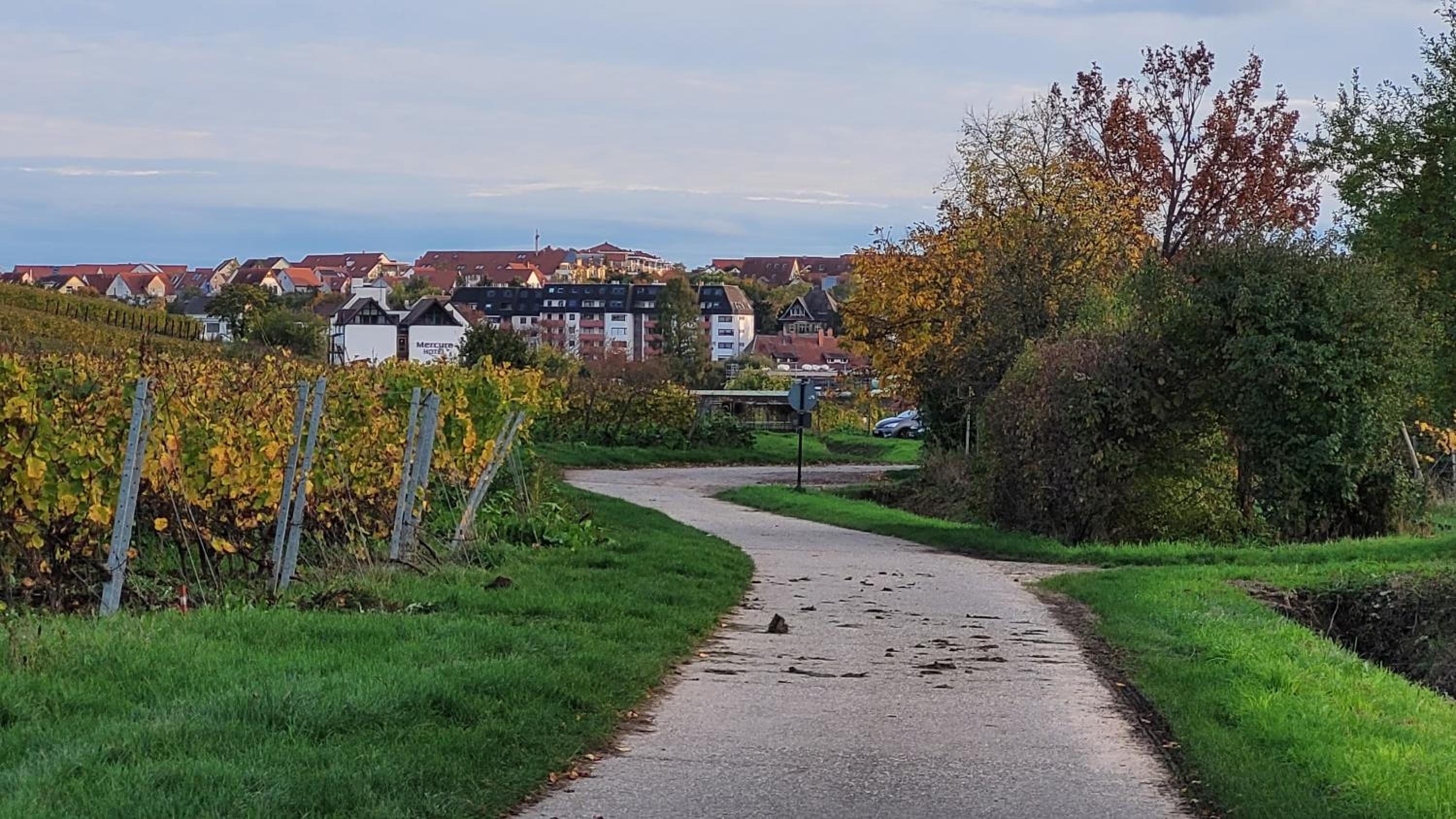 Ihr Bett mit Blick auf die Weinberge