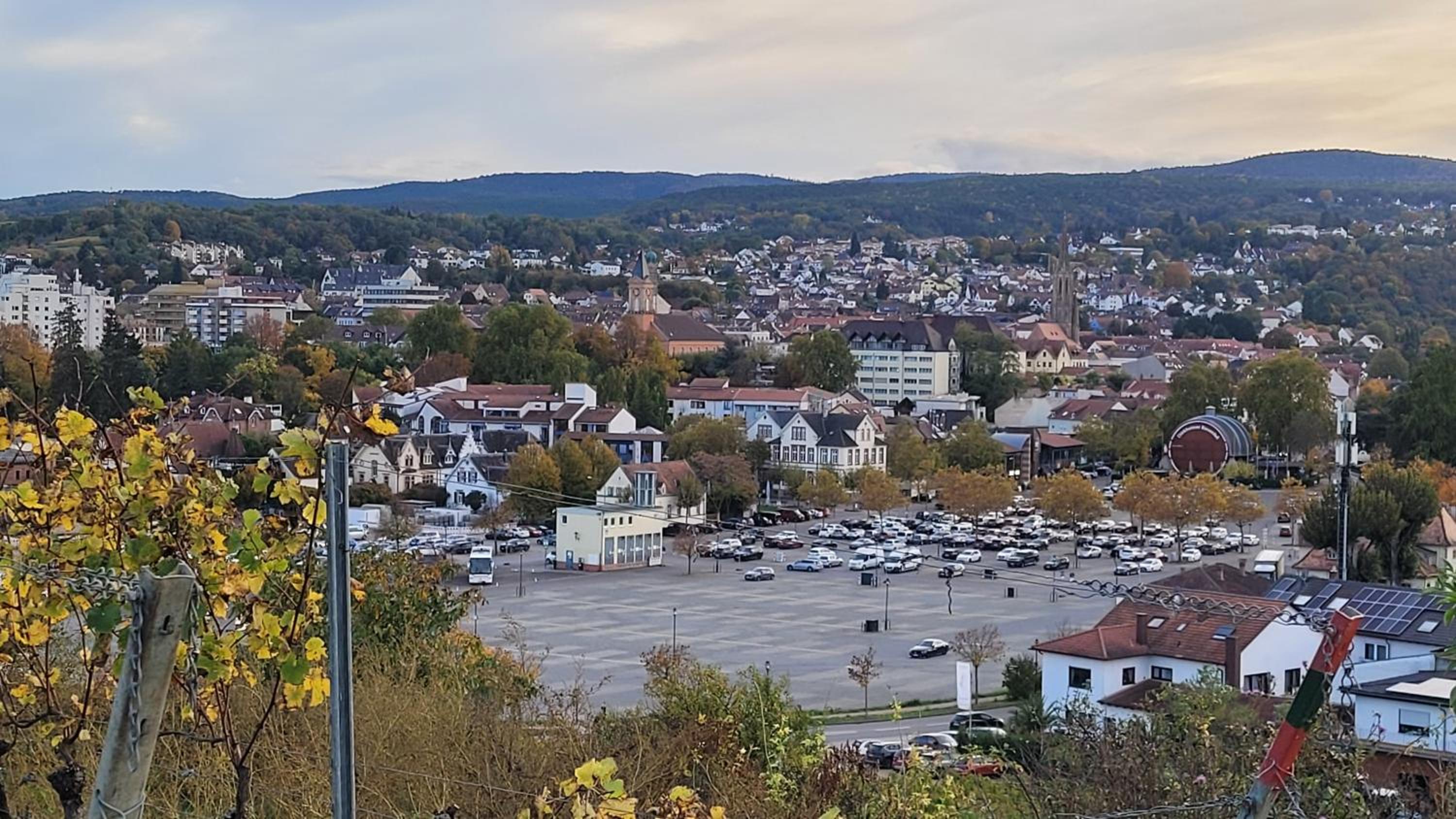 Ihr Bett mit Blick auf die Weinberge