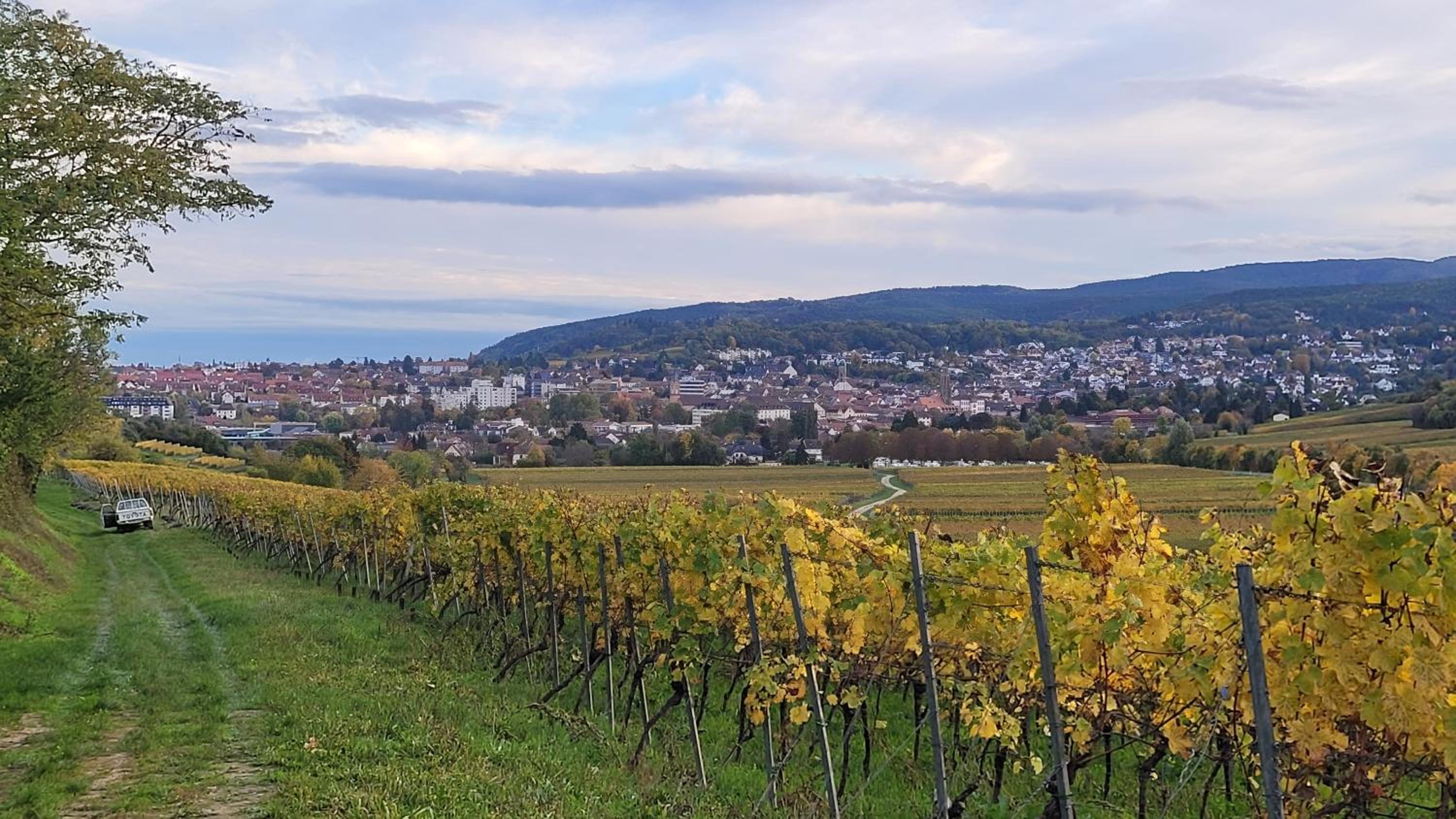 Ihr Bett mit Blick auf die Weinberge