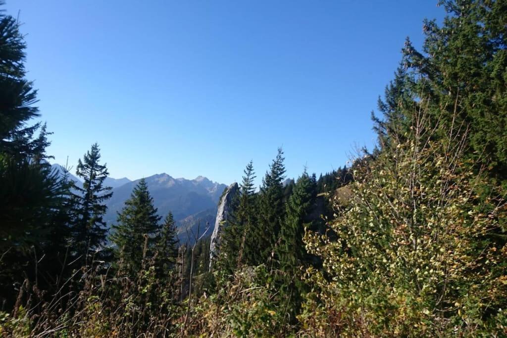 Geräumiges Atelier mit Flair und Bergblick