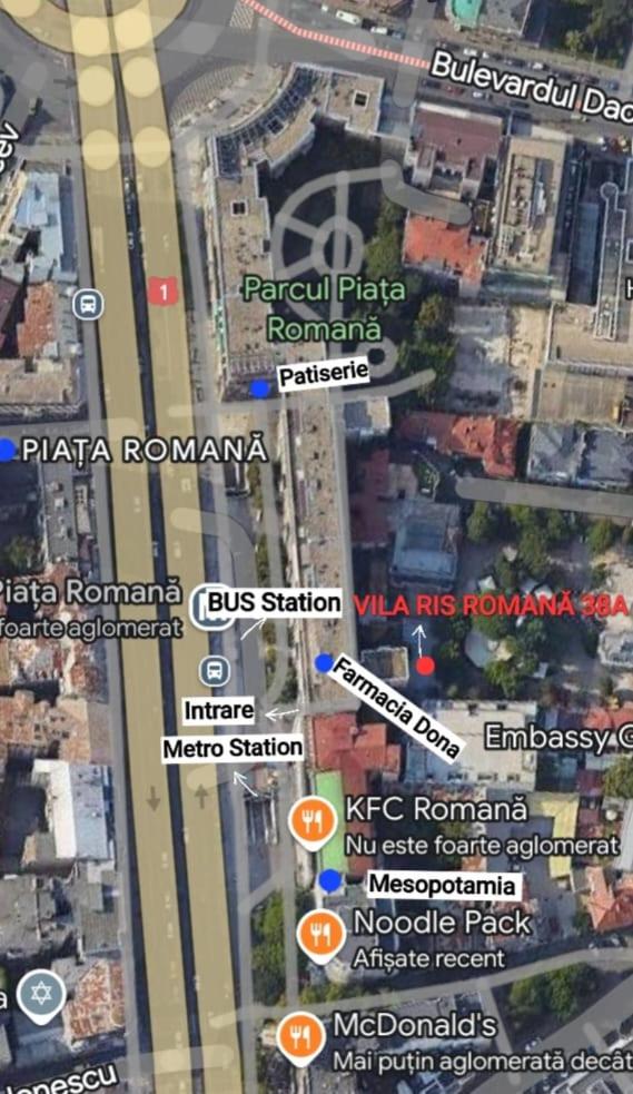 Vila Ris Piata Romana view 2