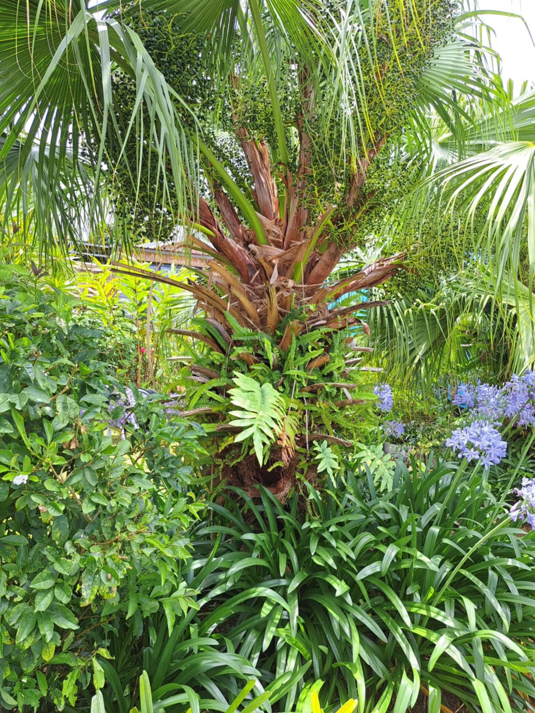 Photo 21
