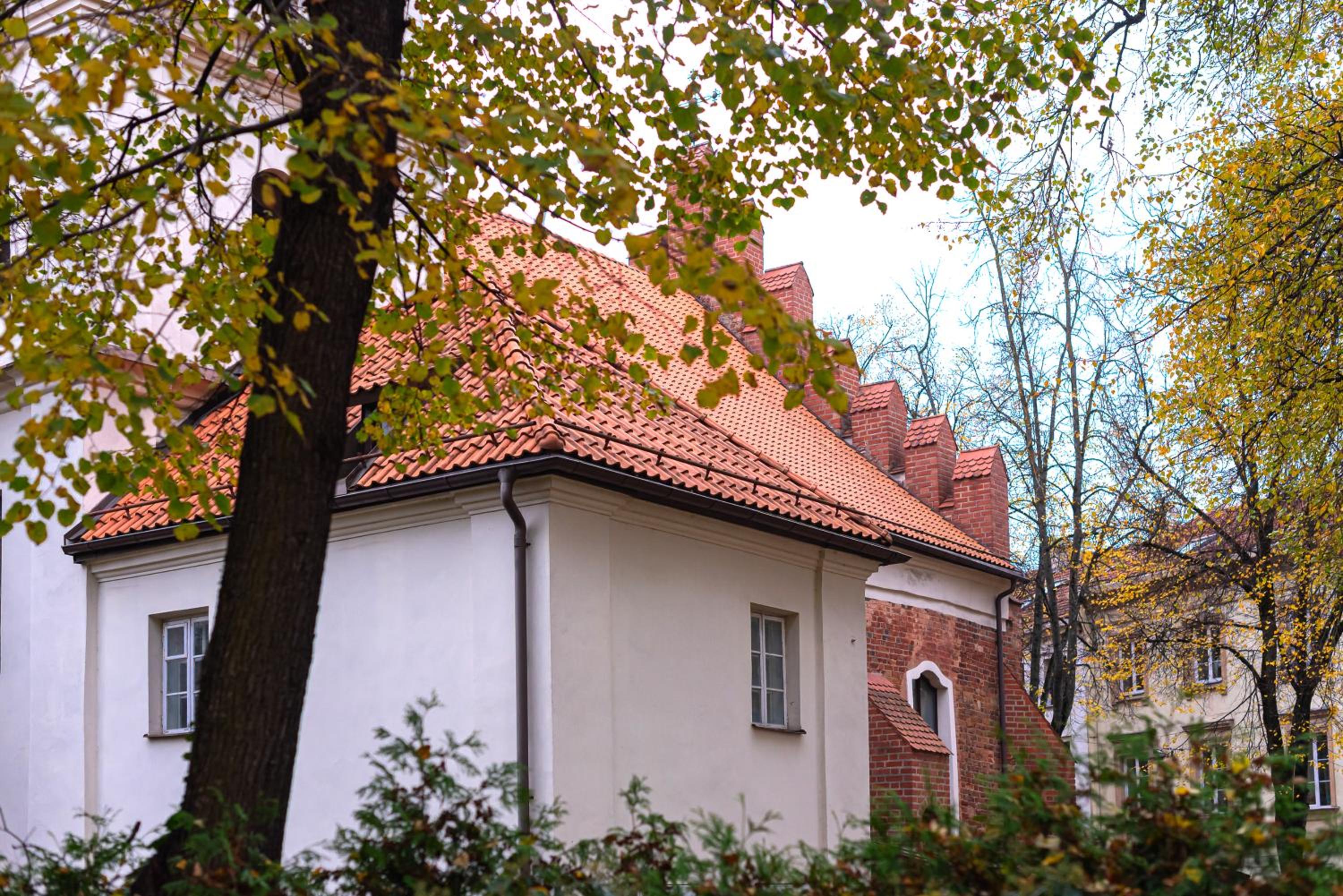 Photo 41
