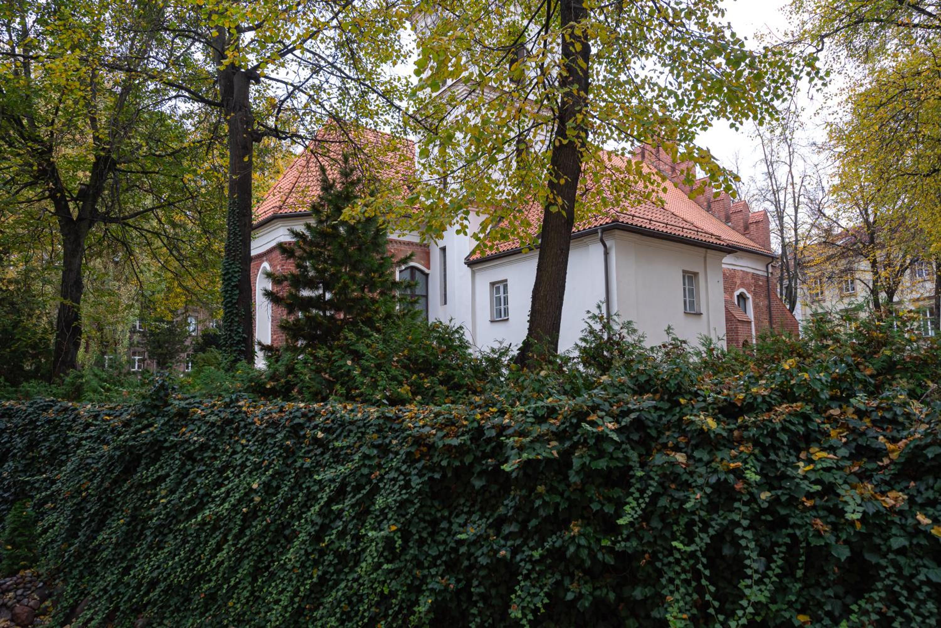Photo 42