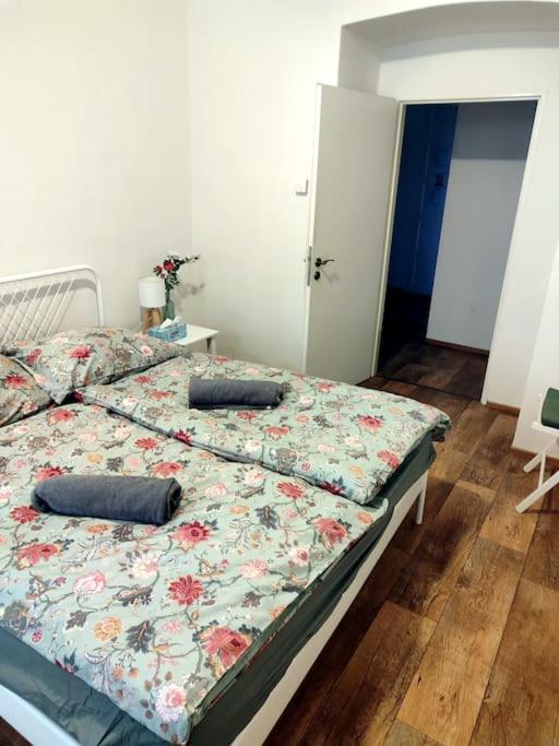 Nice one bedroom apartment in zizkov