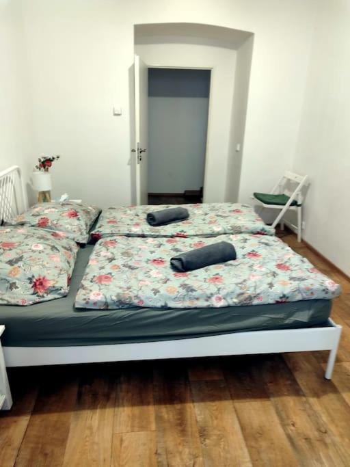 Nice one bedroom apartment in zizkov