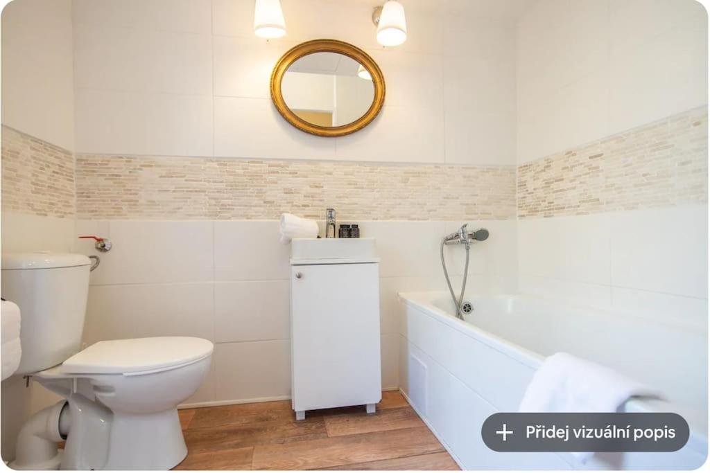 Nice one bedroom apartment in zizkov