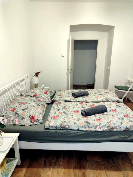 Nice one bedroom apartment in zizkov